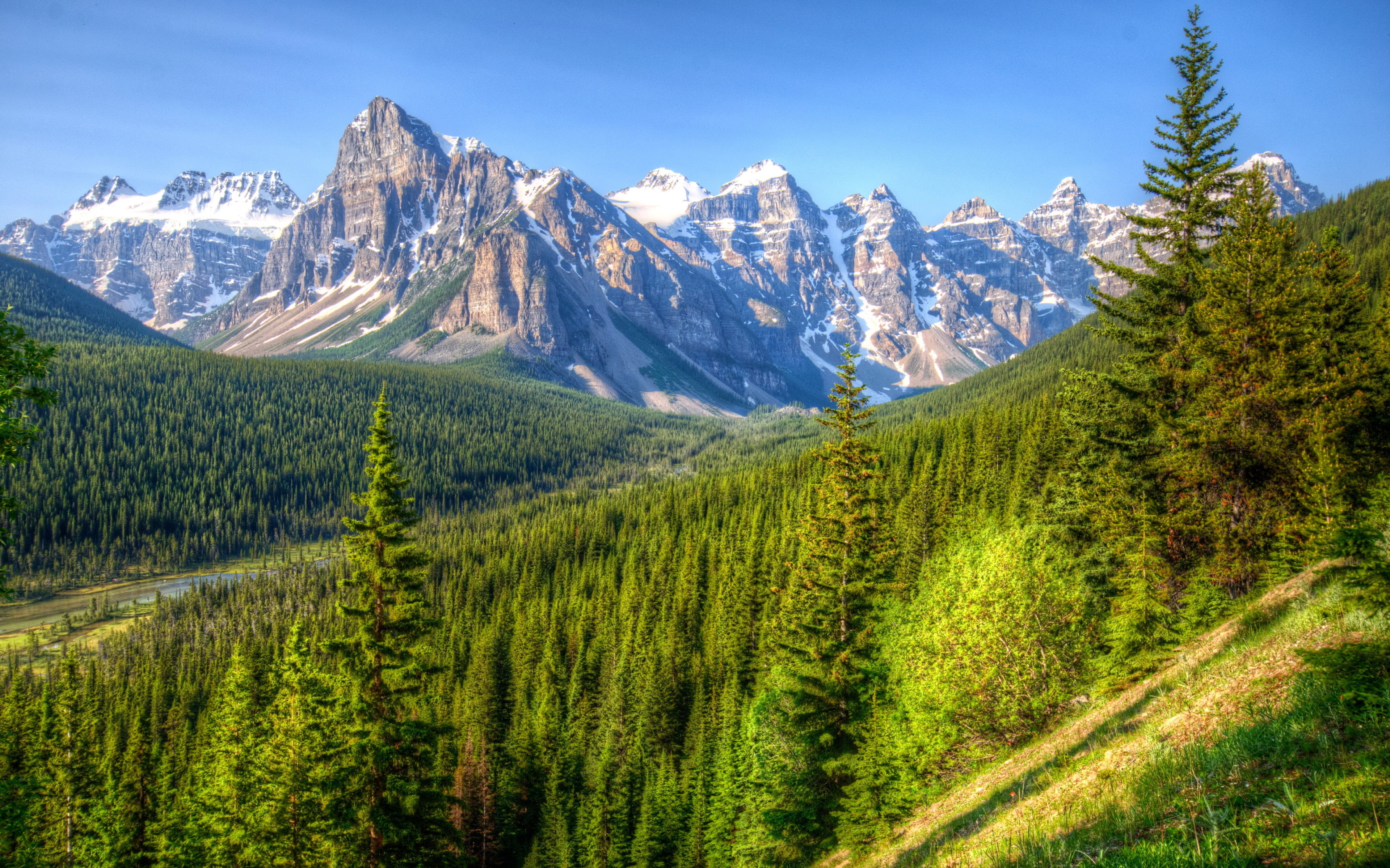 Les. Канада Банф панорама. Заповедник Банф и скалистые горы. Горы Алтая. Горы и лес Канада.