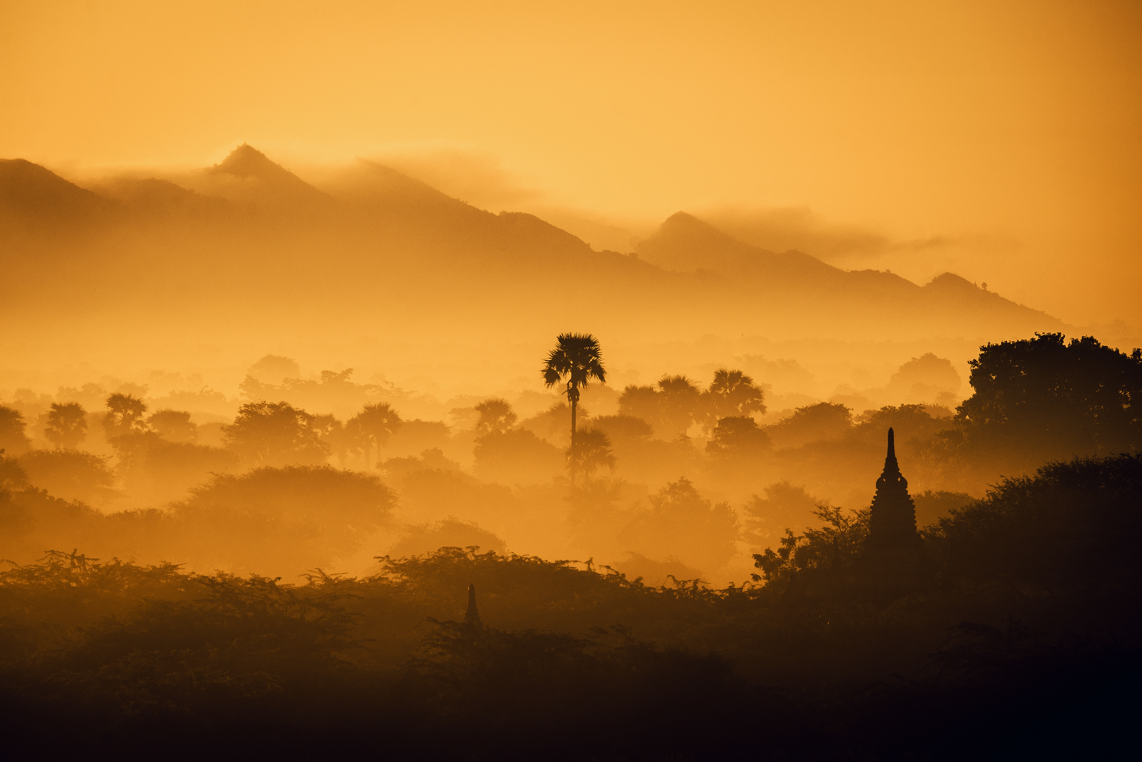 Myanmar Forest 4K Sunset Wallpaper, Hd Nature 4K Wallpapers, Images And
