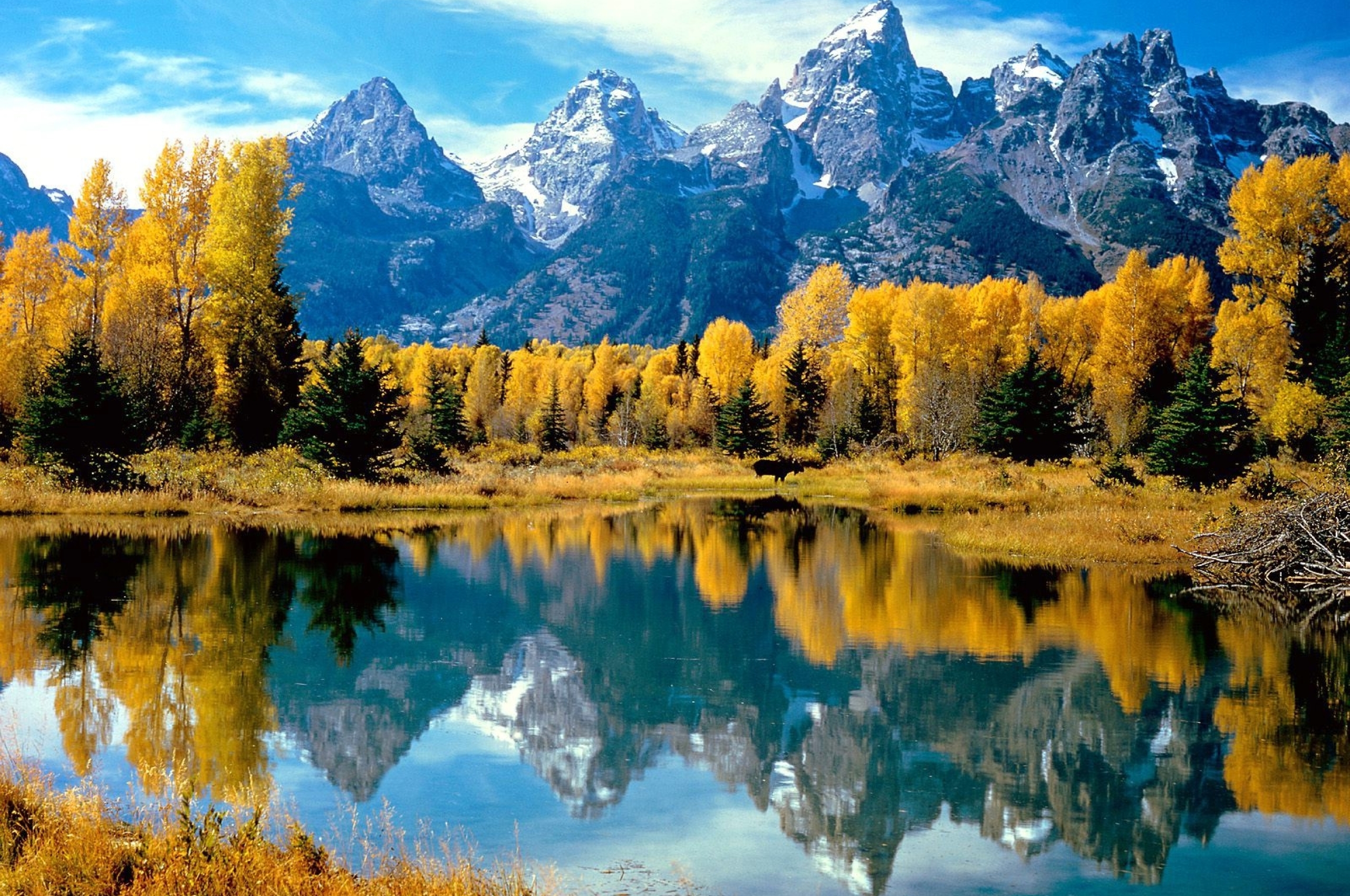 Найти картинку природу. Гранд Титон осенью. Гранд Титон горные Луга. Пейзаж. Красивая природа.