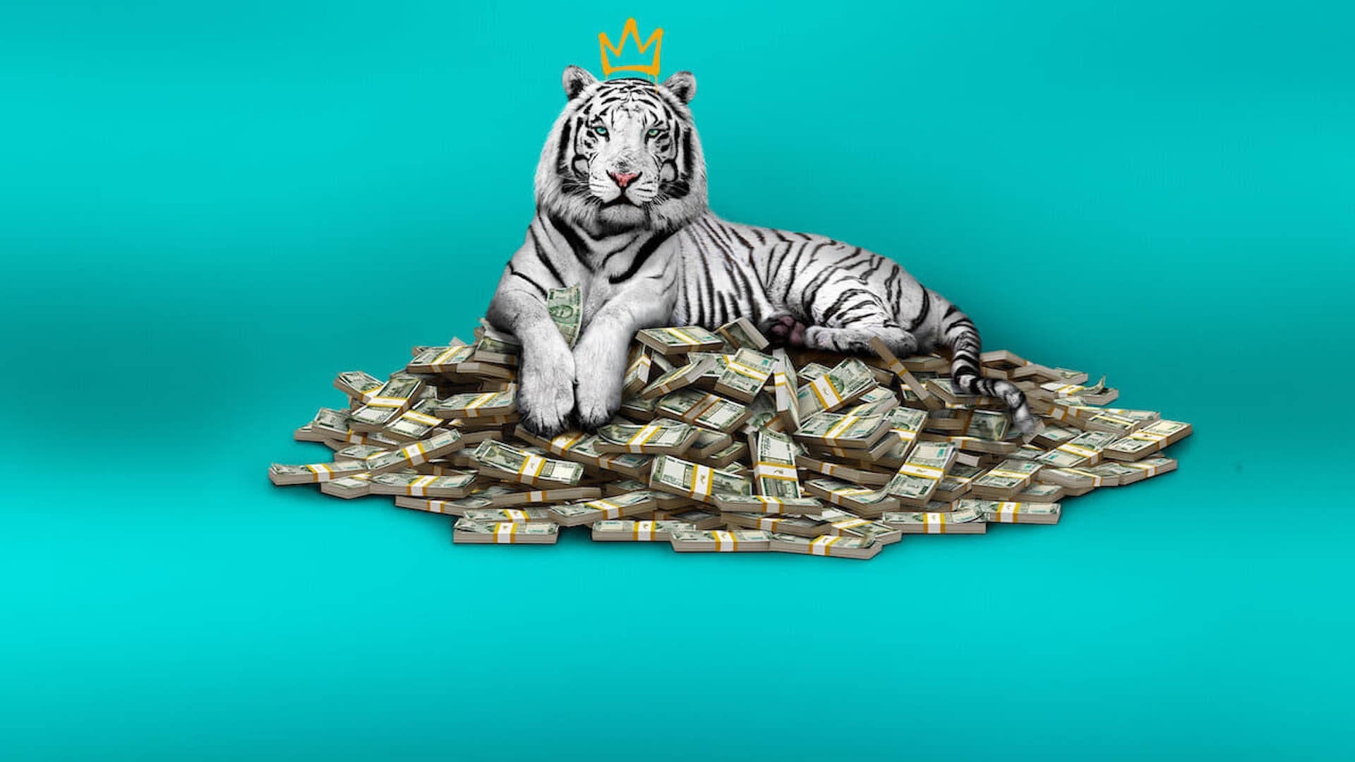 Netflix The White Tiger Wallpaper, HD Movies 4K Wallpapers, Images, Photos  and Background - Wallpapers Den