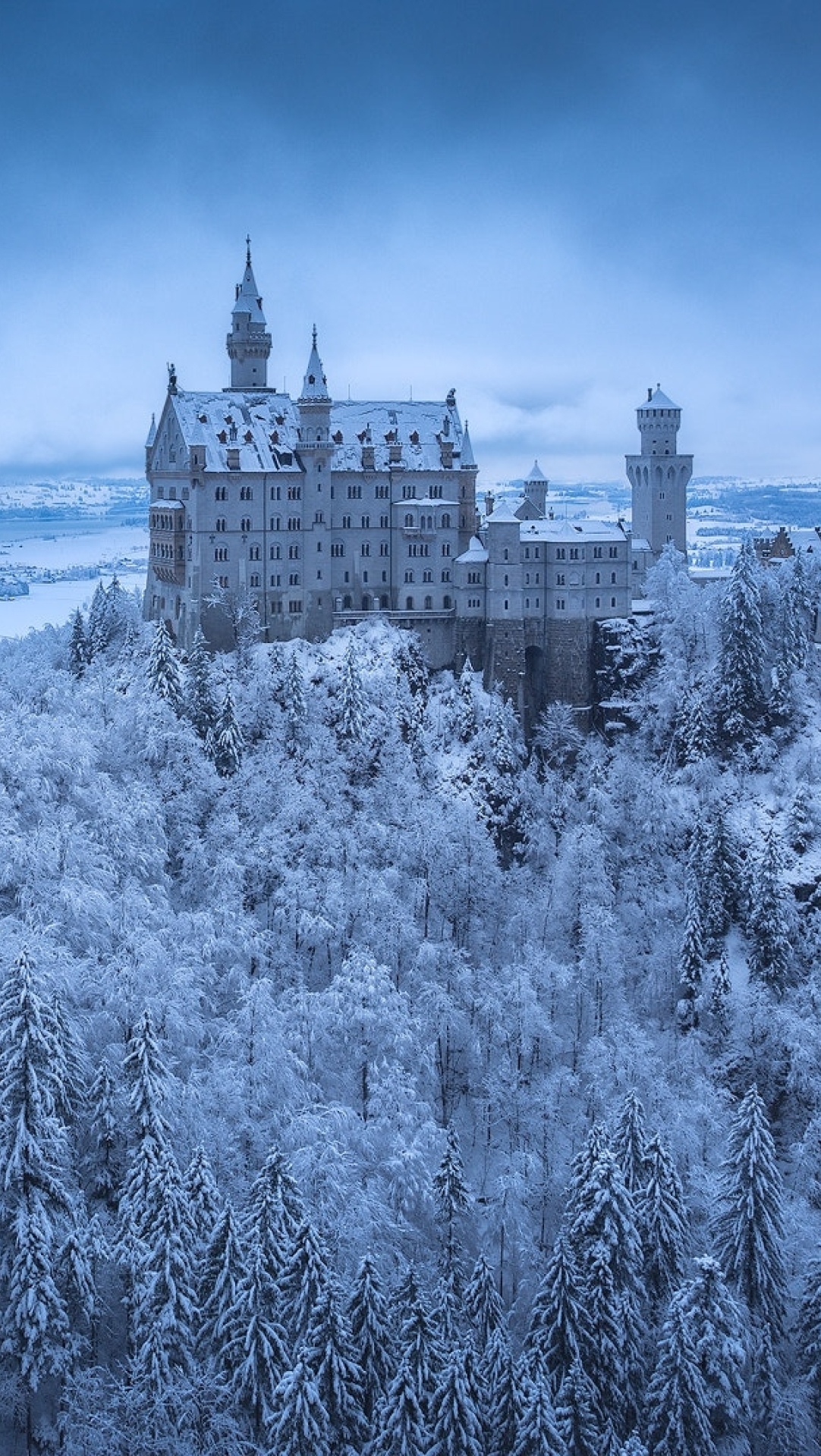 1082x1920 Neuschwanstein Castle In Winter 1082x1920 Resolution Wallpaper Hd City 4k Wallpapers 