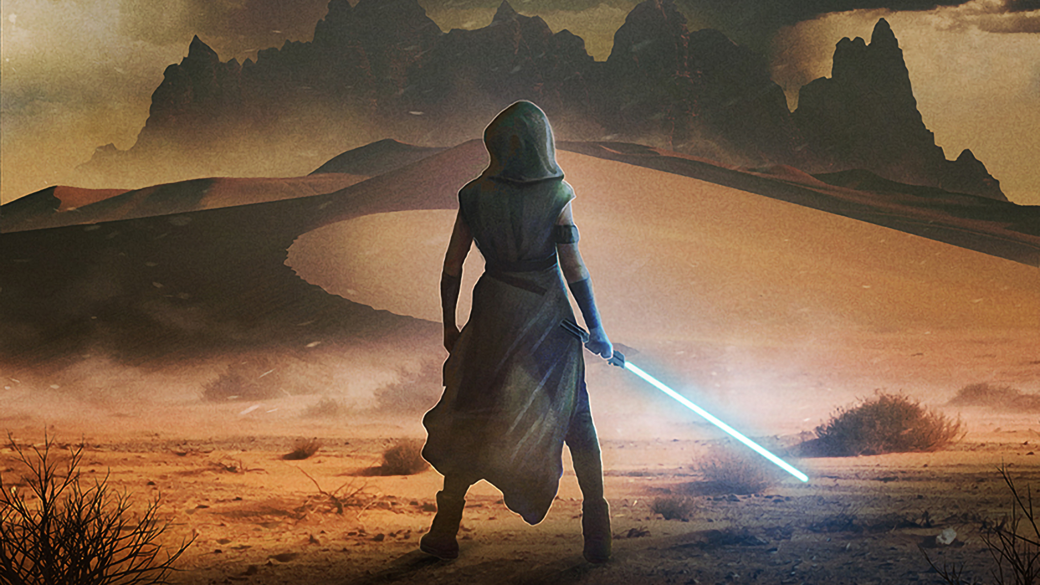 2048x1152 New Star Wars Skywalker Art 2048x1152 Resolution Wallpaper