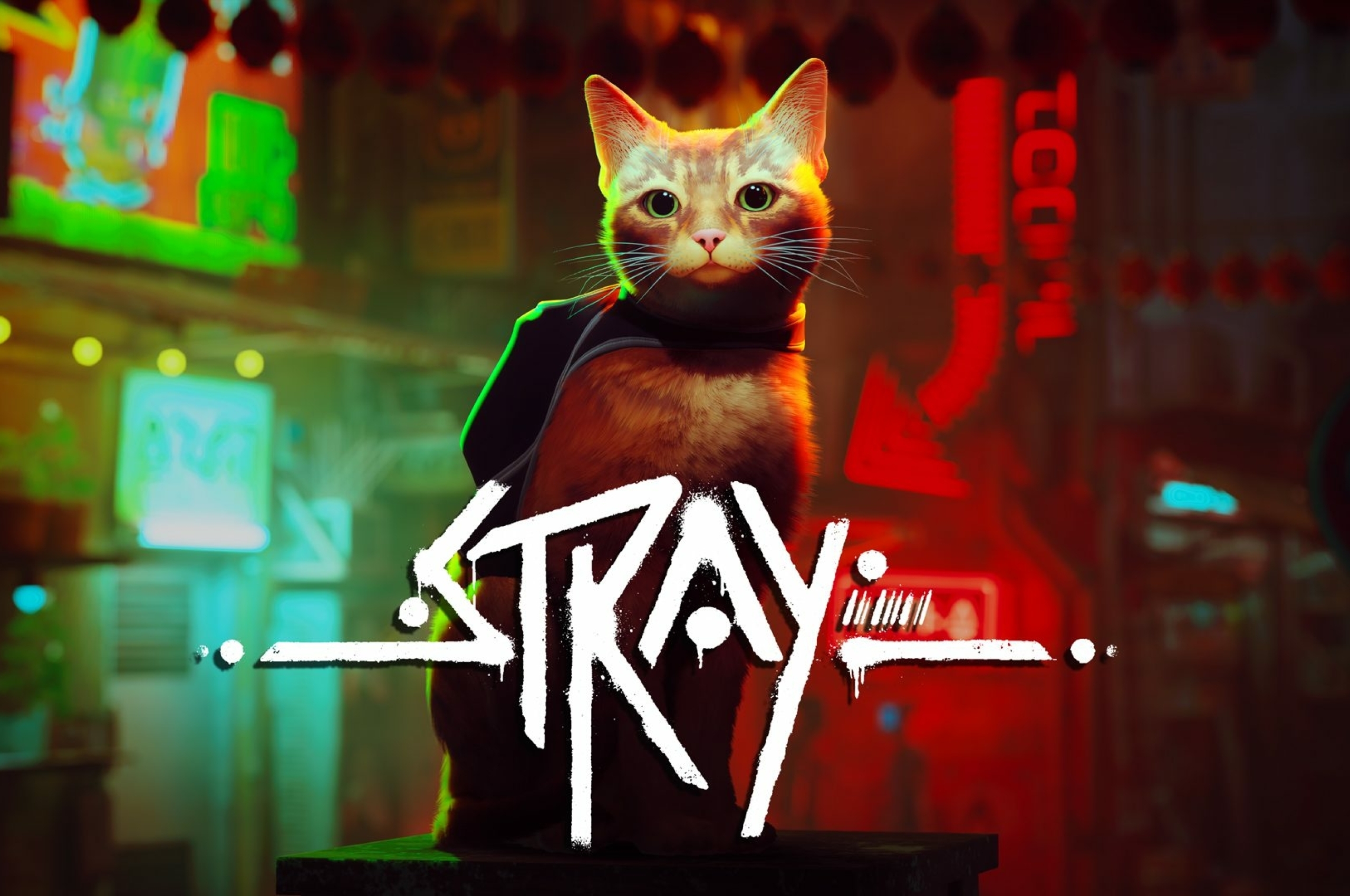 Страйк кот. Stray игра ps5. Игра про кота 2022 Stray. Игры для кошек. Stray кот киберпанк.