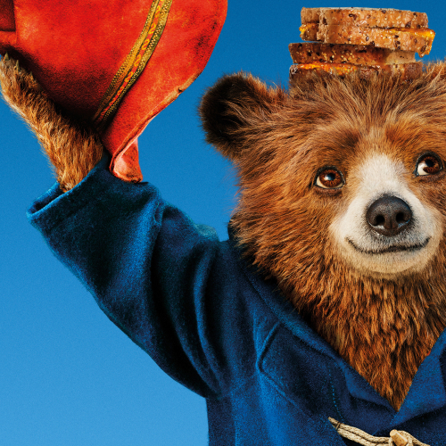 500x500 Resolution Paddington 2 Bear 500x500 Resolution Wallpaper