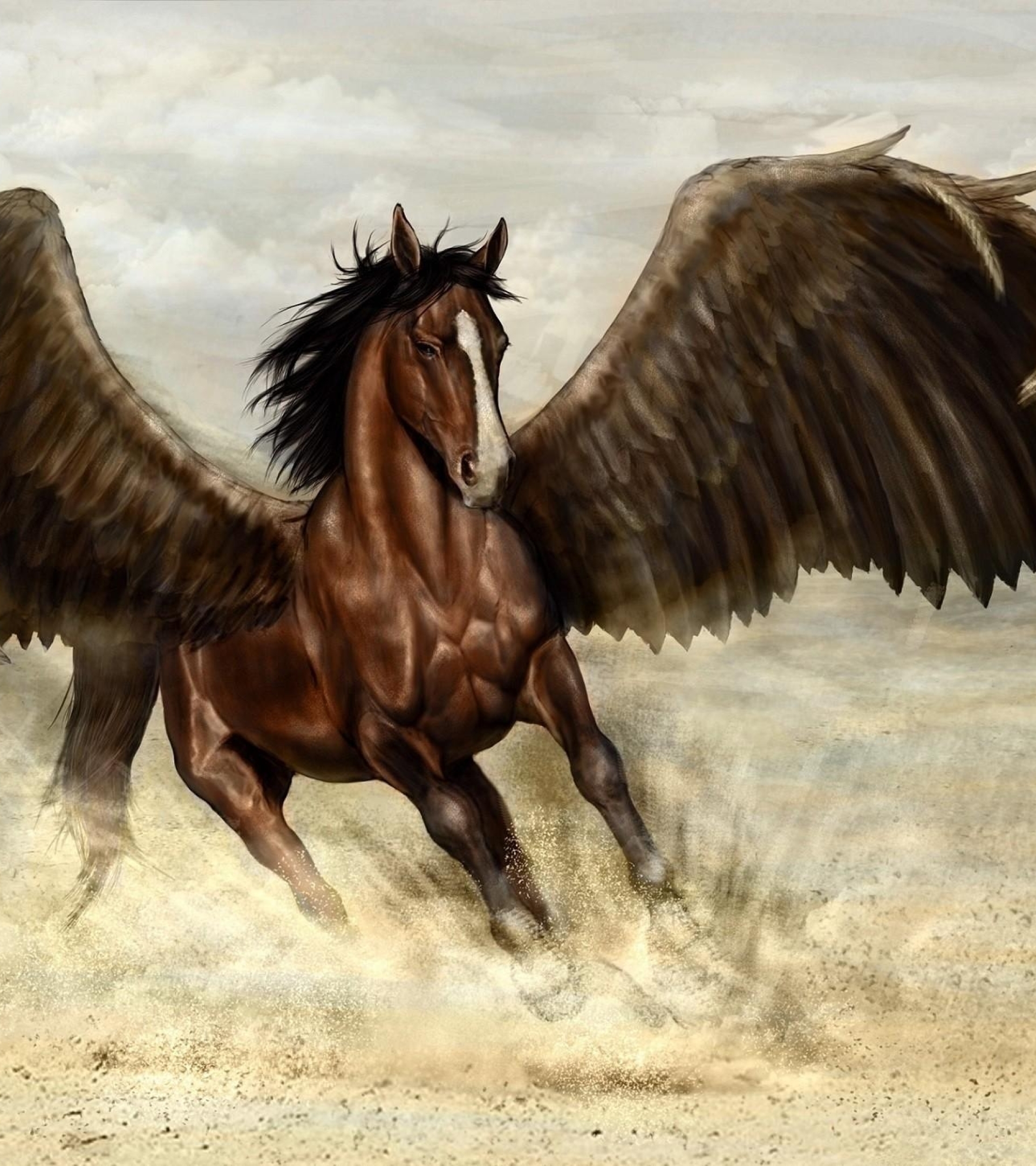 1920x2160 pegasus, horse, wings 1920x2160 Resolution Wallpaper, HD ...