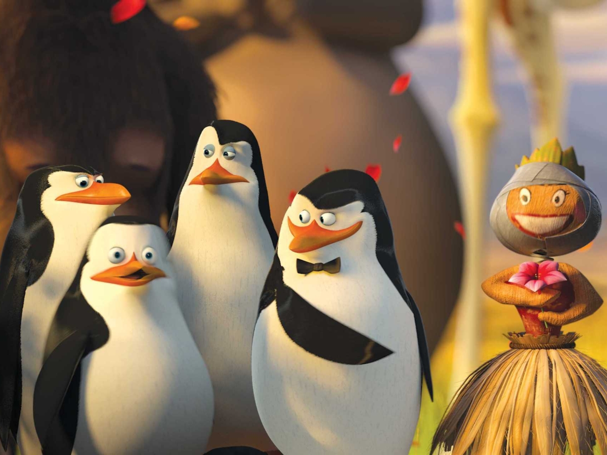 1200x900-resolution-penguins-of-madagascar-movie-hd-wallpapers-1200x900