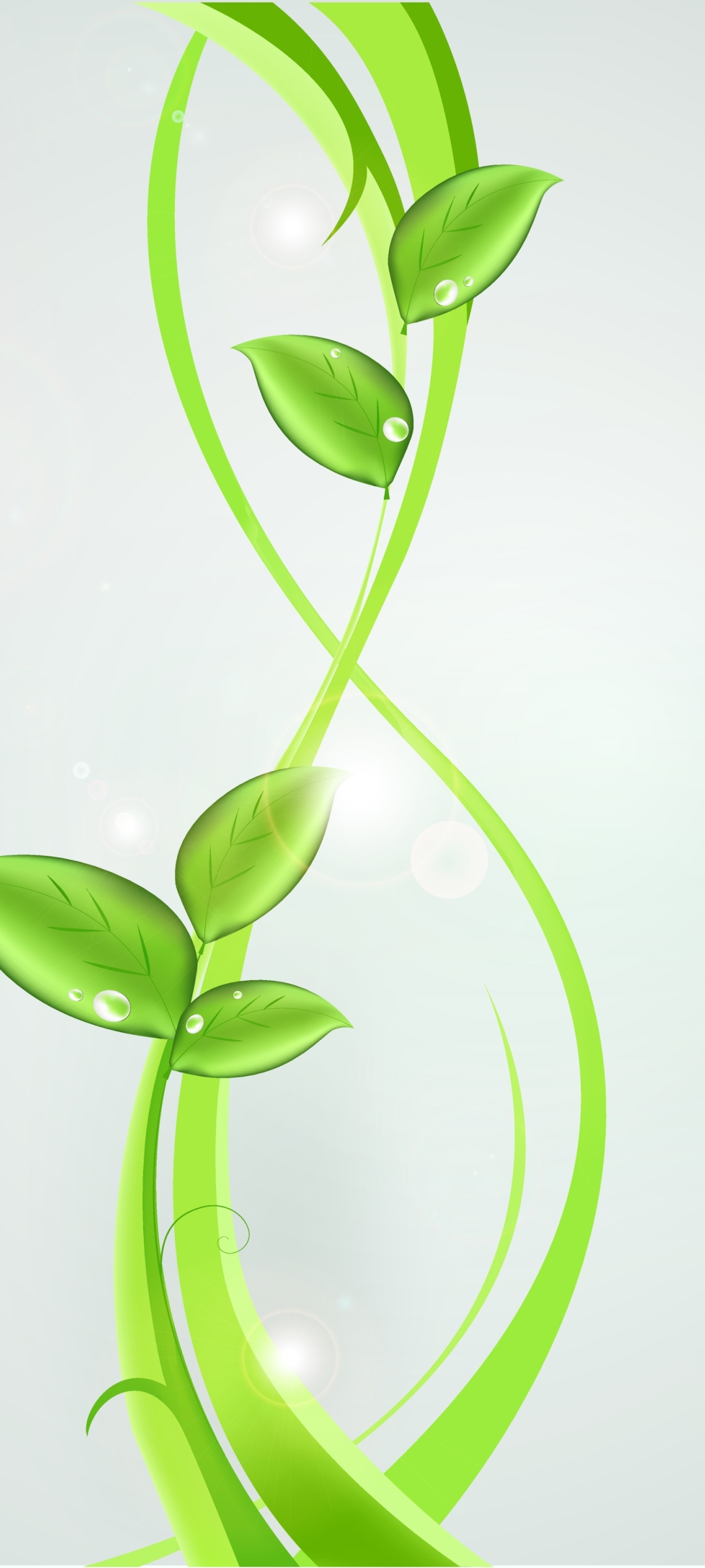 1080x2400 plants, green, abstract 1080x2400 Resolution Wallpaper, HD Abstract 4K Wallpapers