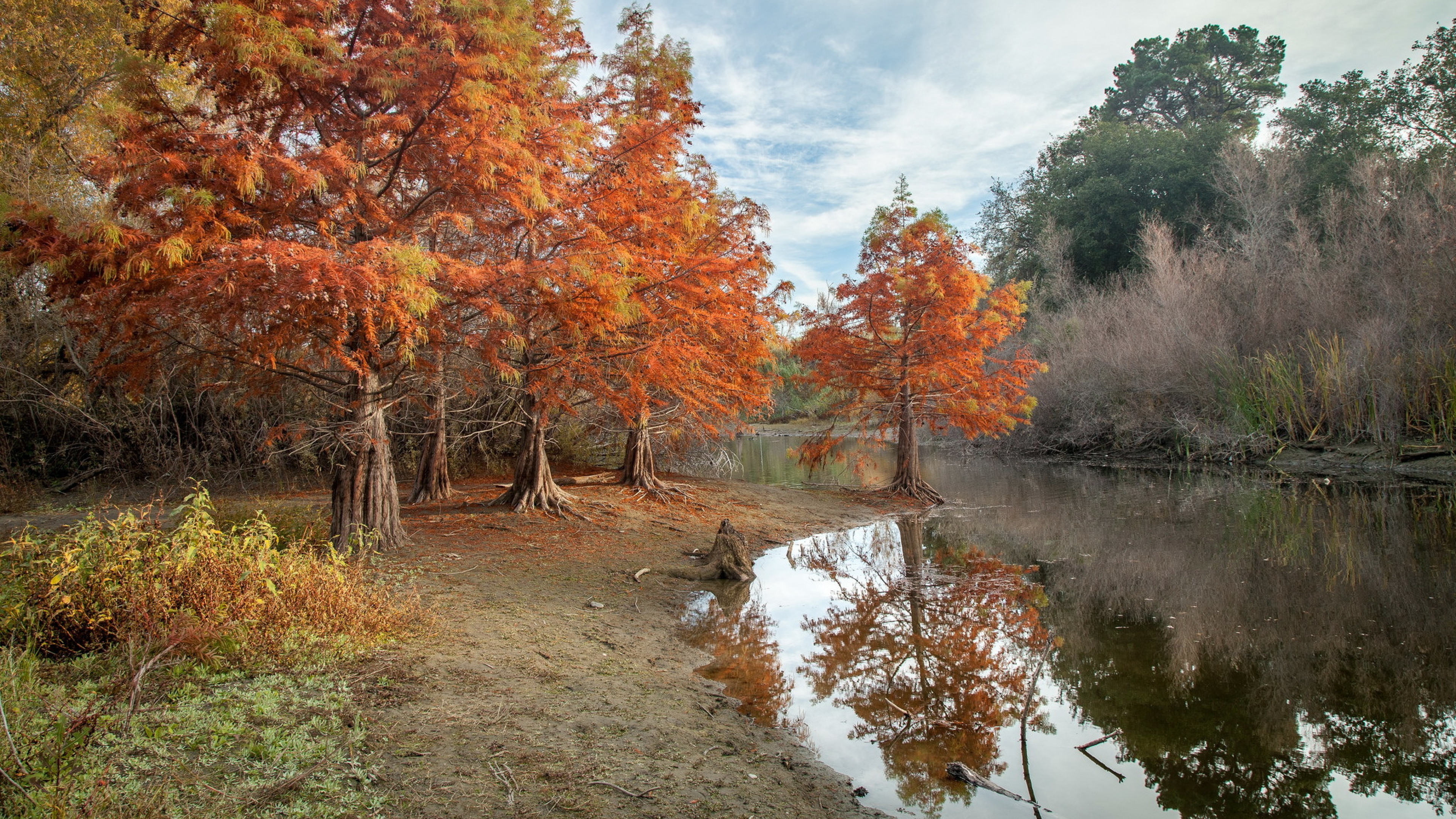 Фрагмент осени. Осенний пейзаж. Речка в лесу осенью. Осень речка. Золотая осень река.