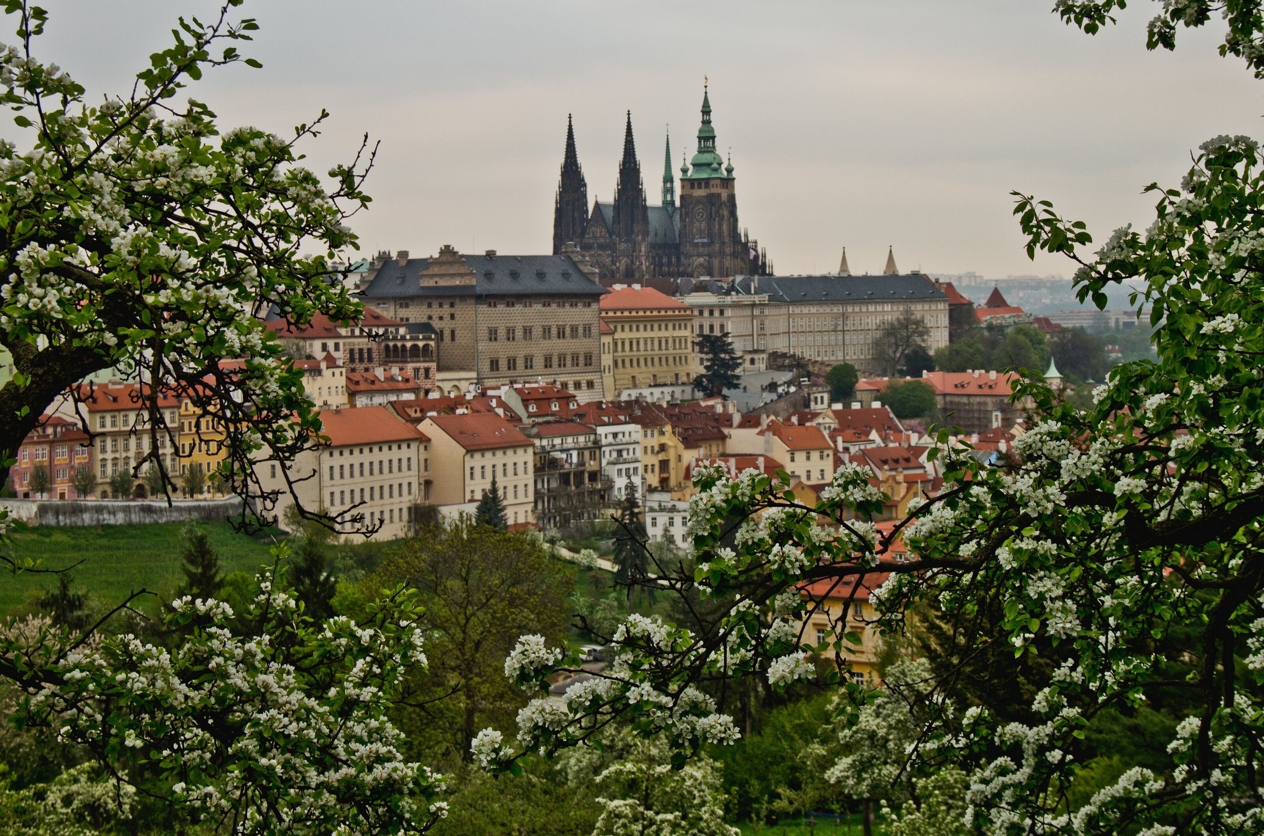 Прага вид с горы бесплатно