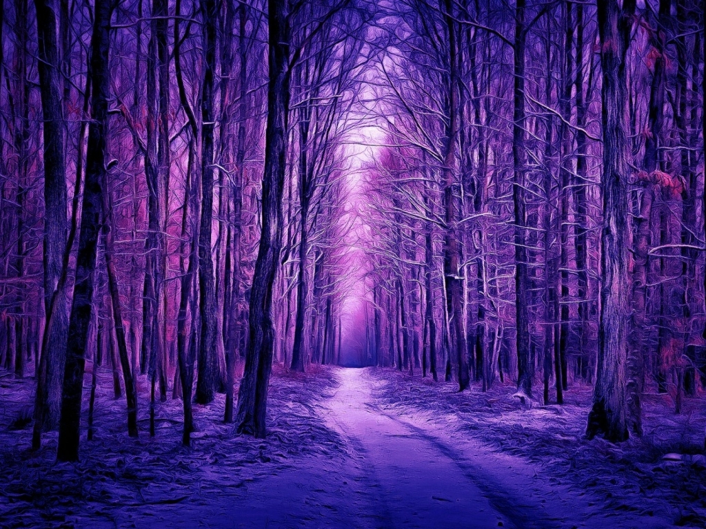 1024x768 Resolution Purple Winter Forest 1024x768 Resolution Wallpaper ...