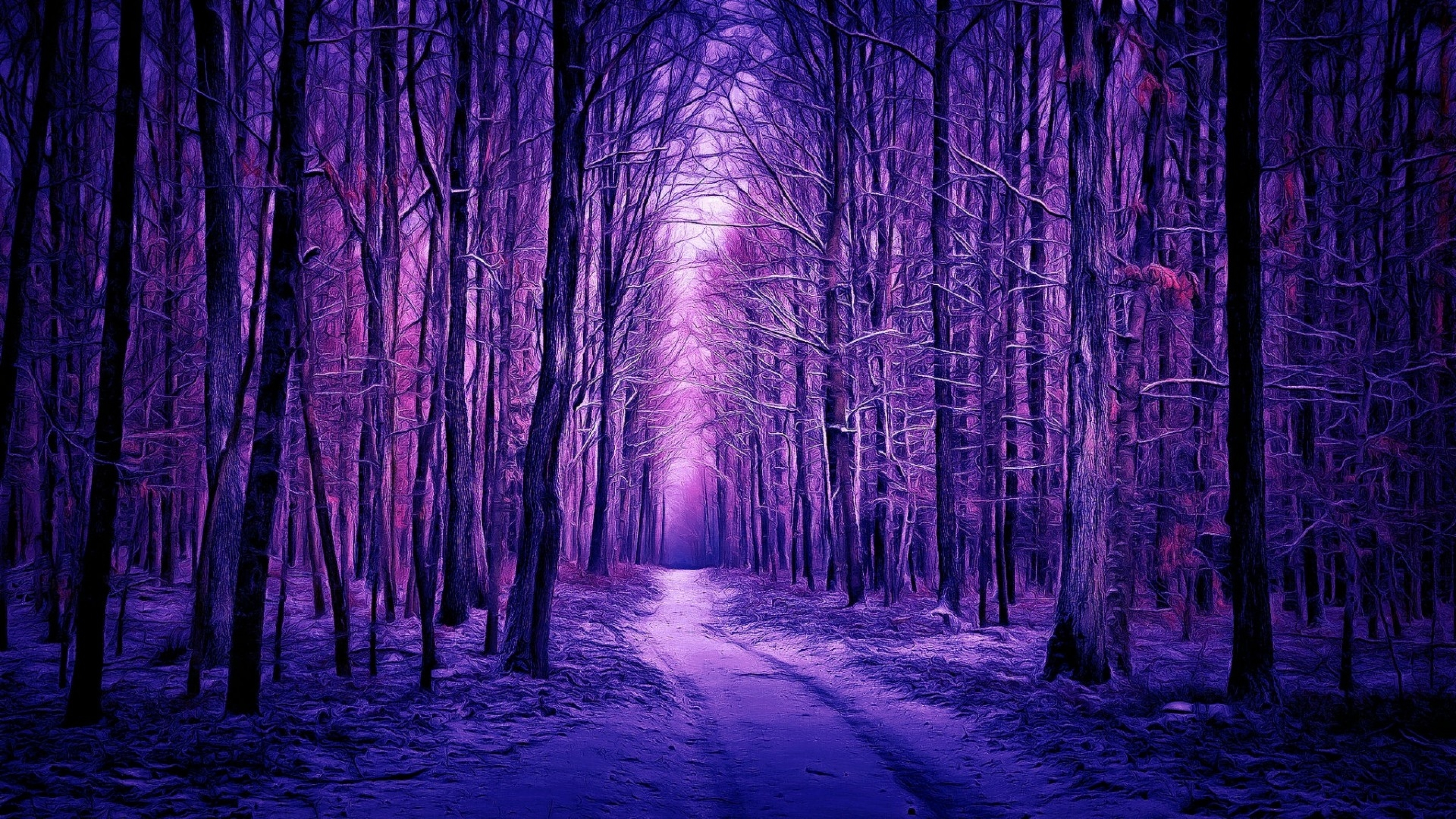 Dark winter wallpaper. Фиолетовый лес. Синий лес. Ночной лес. Сиреневый лес.