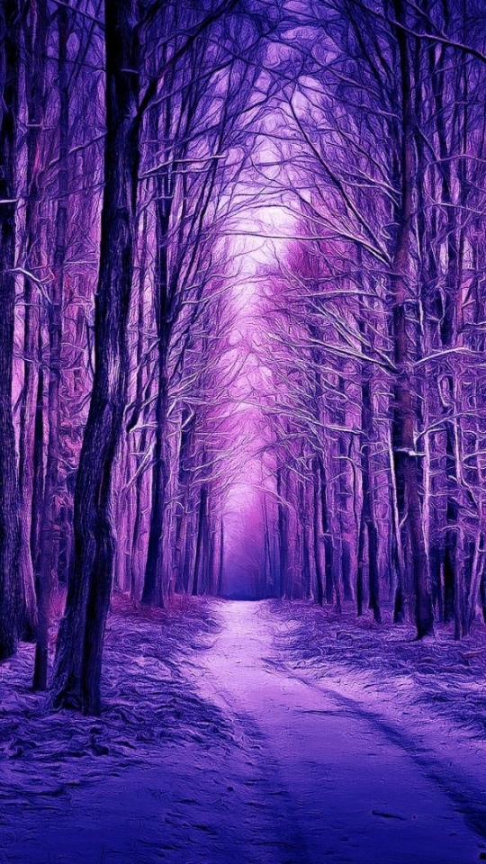 540x960 Resolution Purple Winter Forest 540x960 Resolution Wallpaper ...