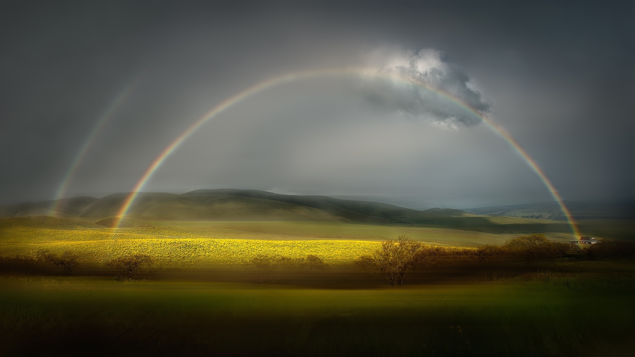 2560x1440 Rainbow Rain Hd 1440p Resolution Wallpaper Hd Nature 4k