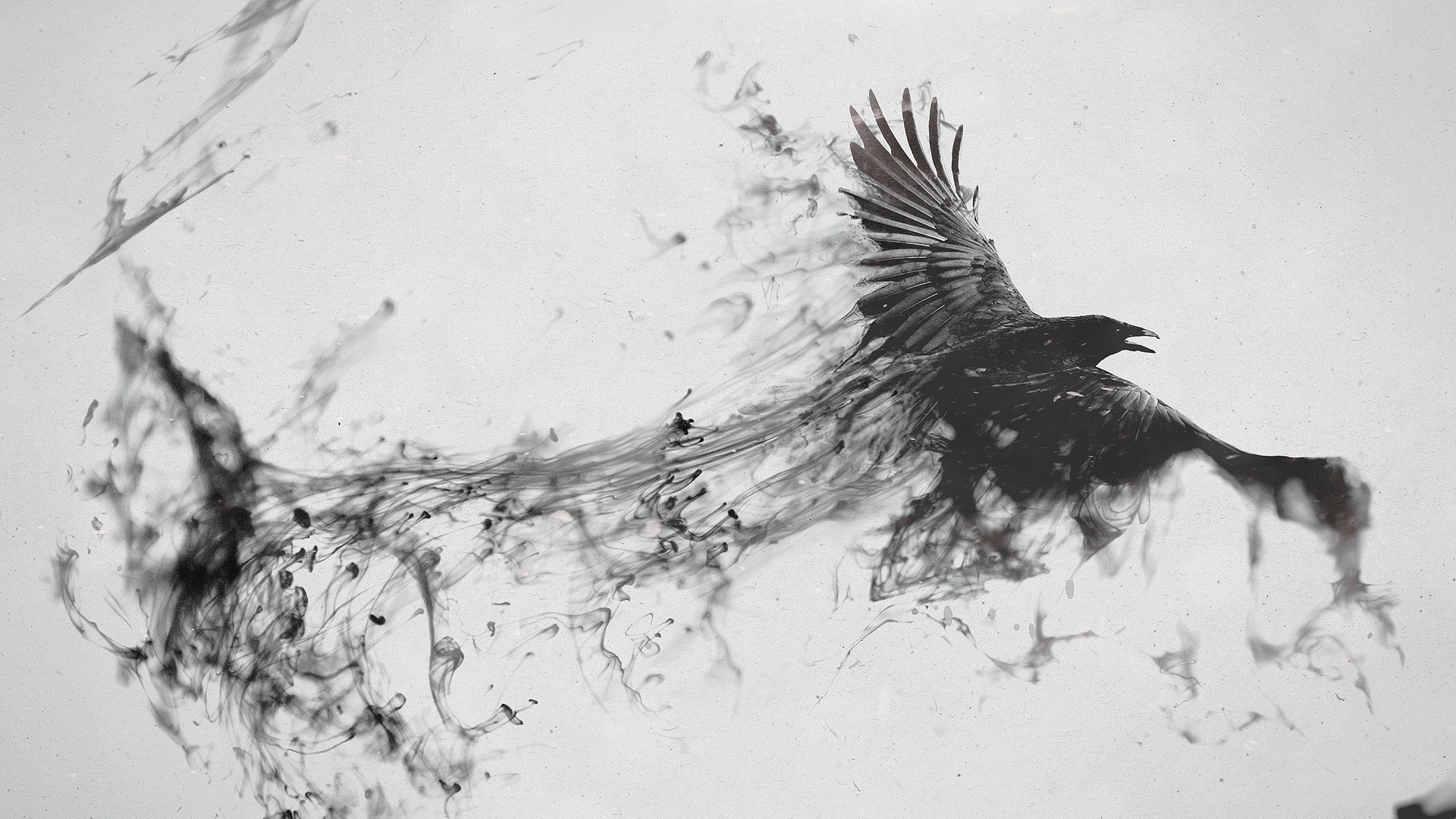 769 x4320 Raven Bird Flying 769 x4320 Resolution Wallpaper HD Abstract 769-x4320-raven-bird-flying-769-x4320-resolution-wallpaper-hd-abstract