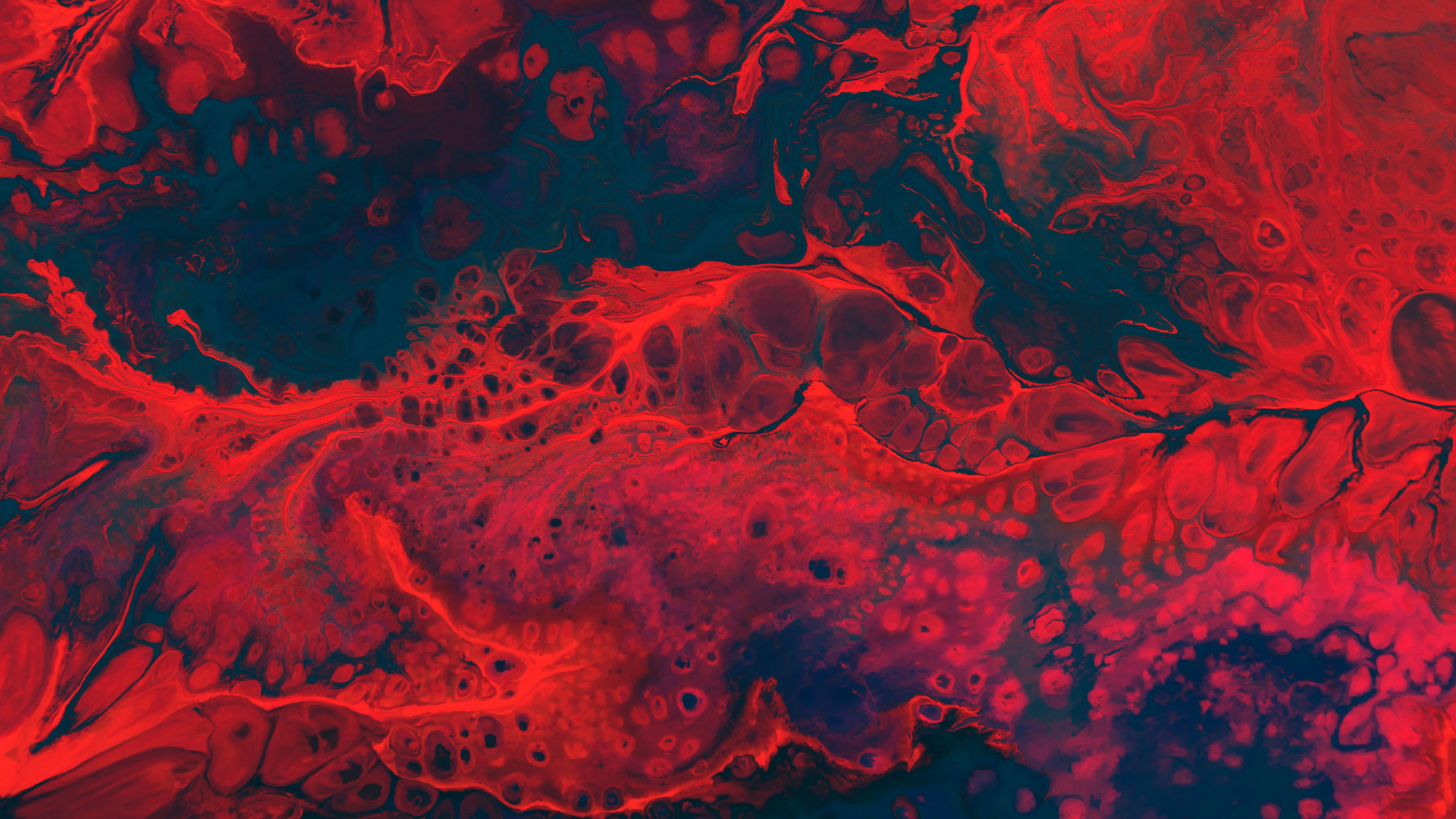 Featured image of post Red Abstract Wallpaper 2560X1440 Best abstract 4k wallpapers in hd resolution