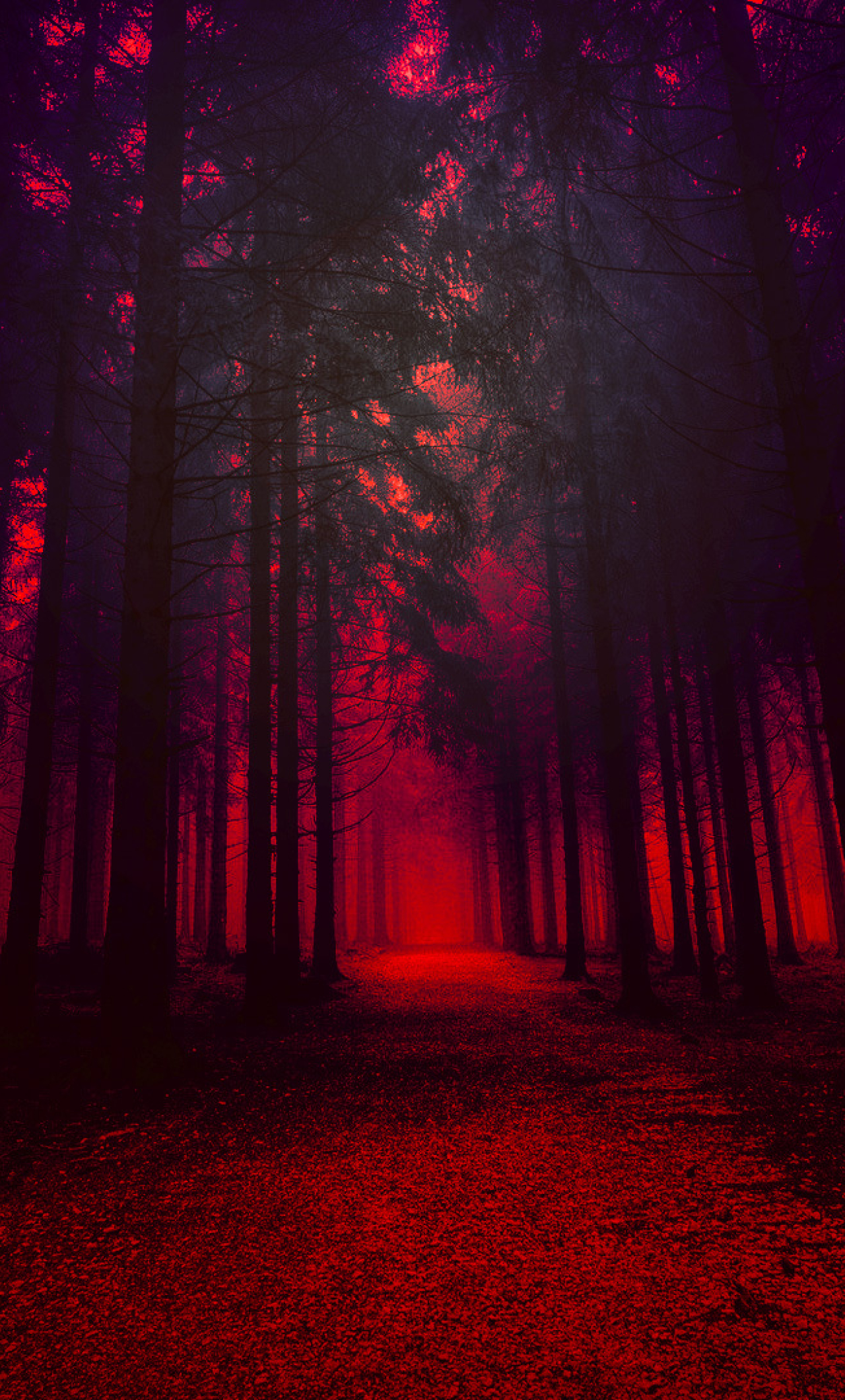 1280x2120 Red Forest iPhone 6 plus Wallpaper, HD Nature 4K Wallpapers