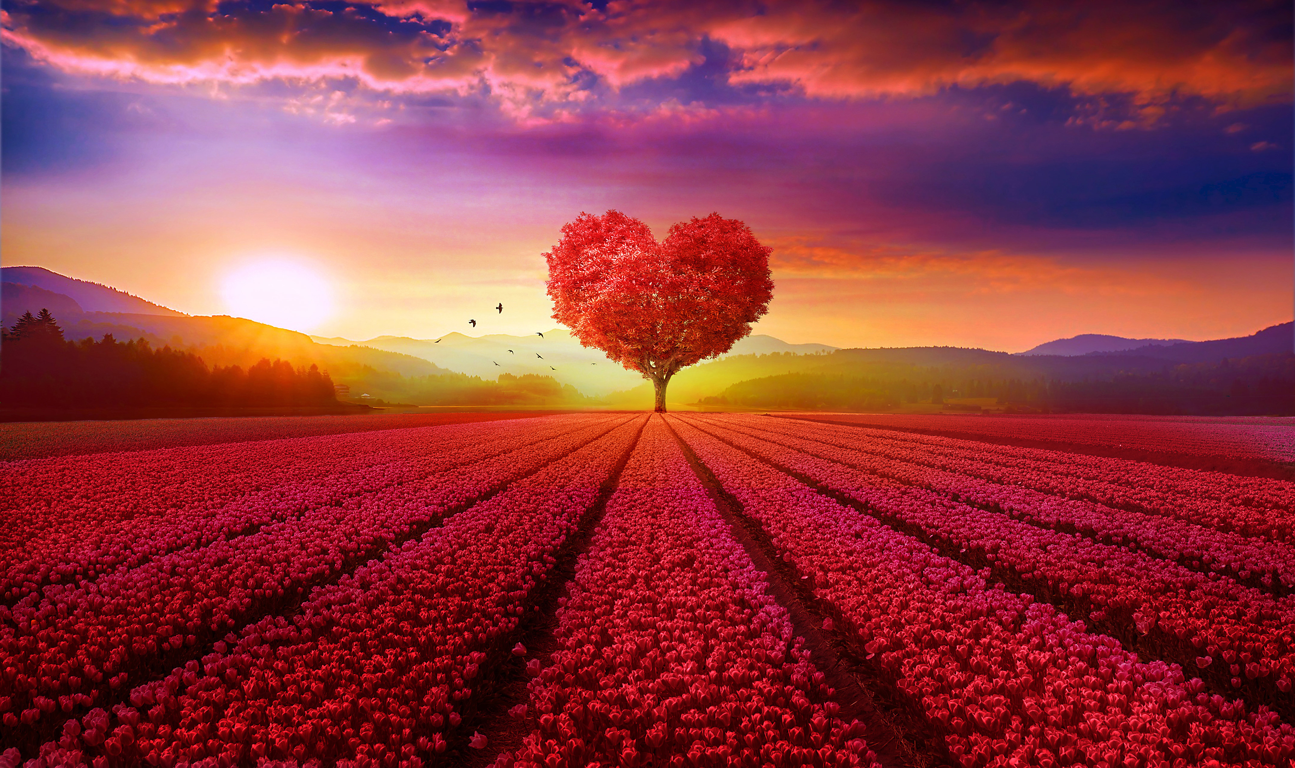 Red Heart Tree Wallpaper, HD Nature 4K Wallpapers, Images, Photos and ...