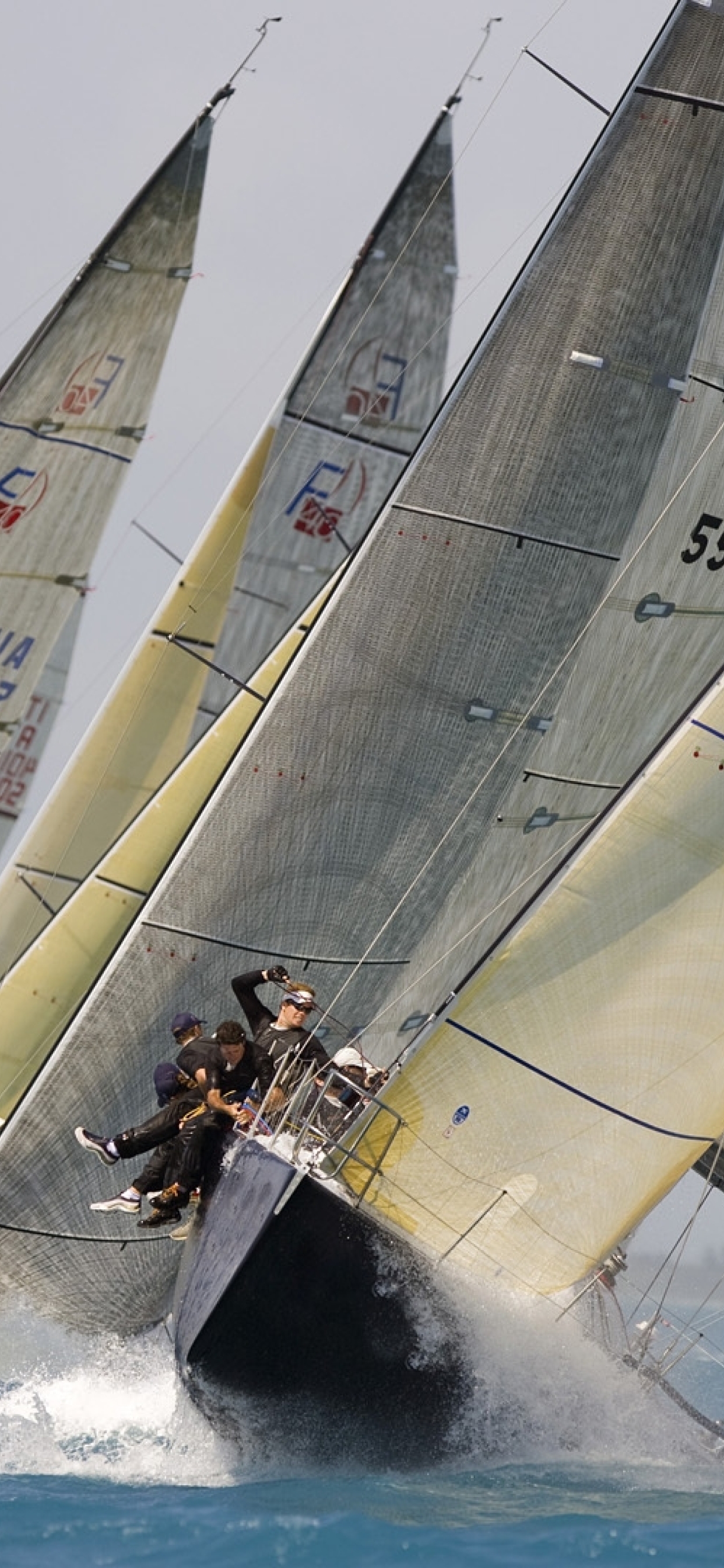 yacht racing image