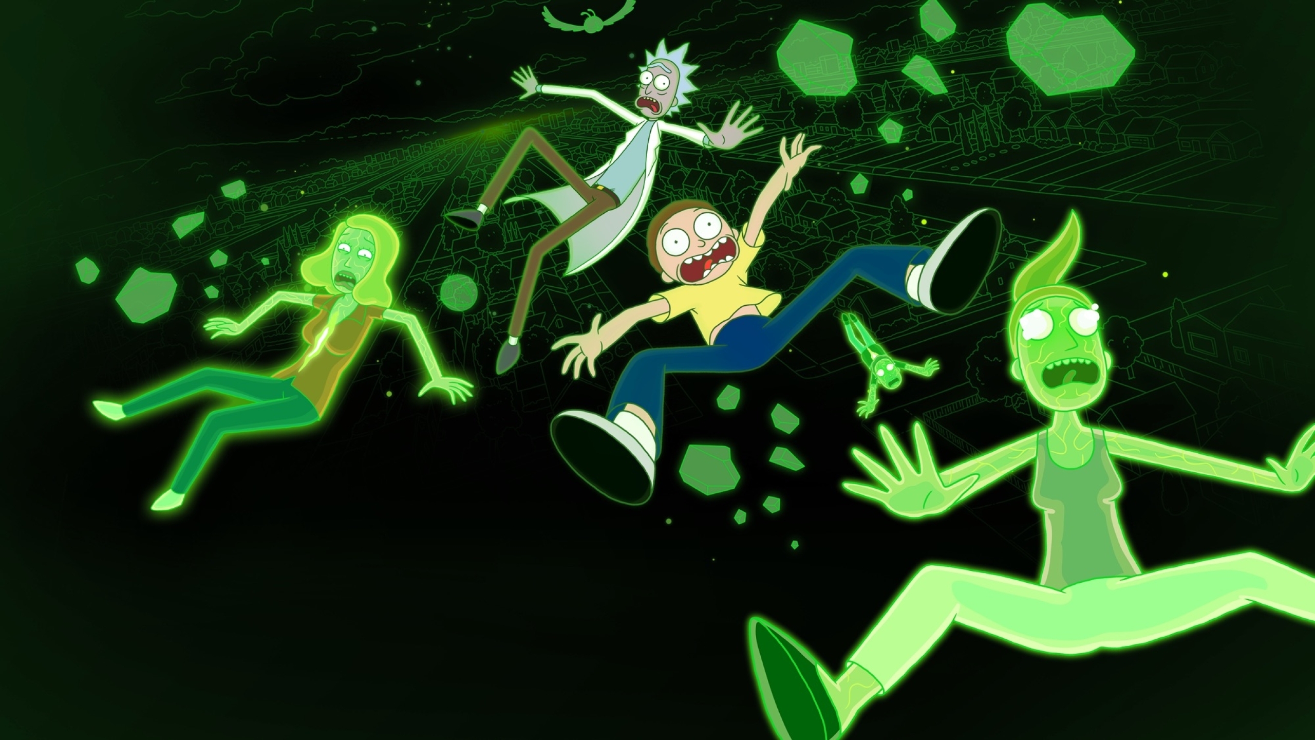 2560x1440 Resolution Rick and Morty into The Space HD 1440P Resolution