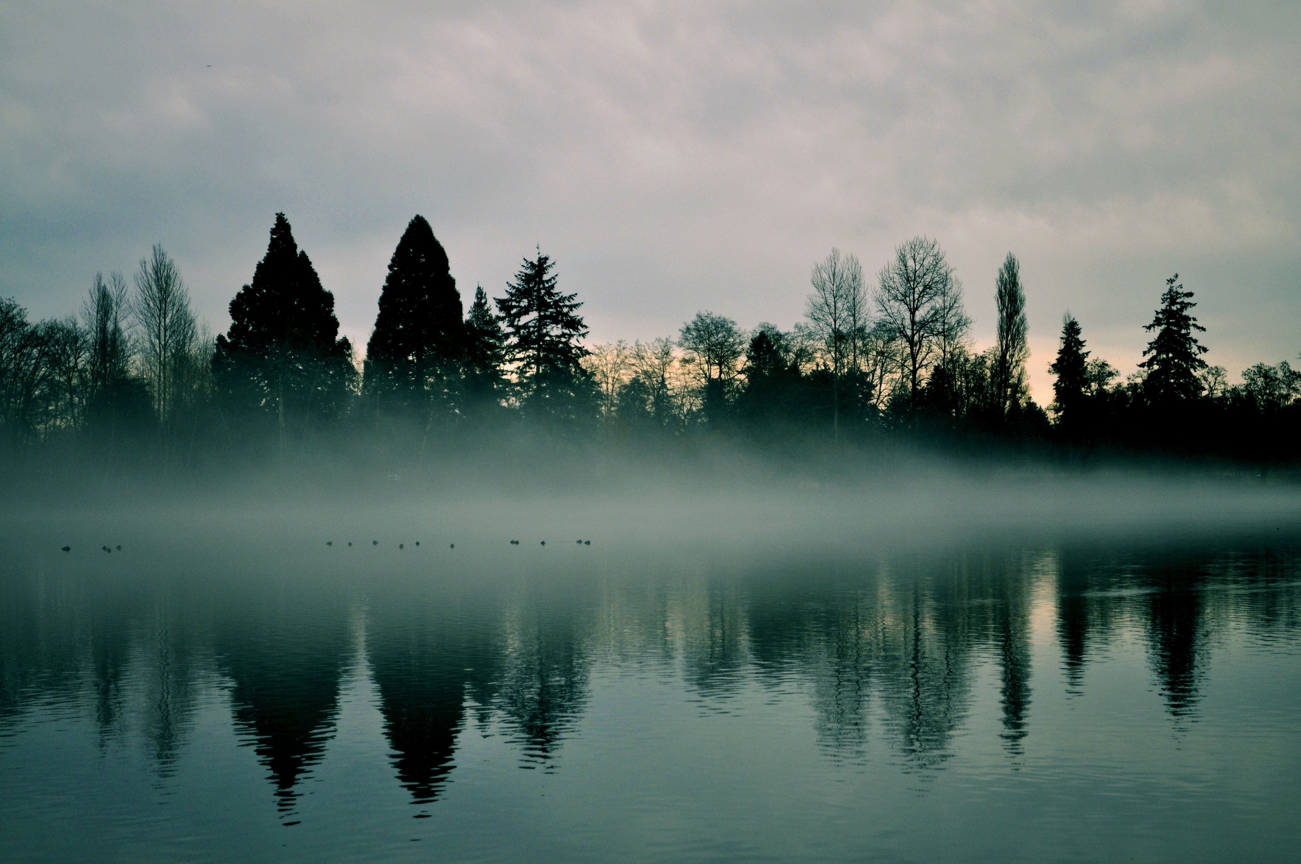 Хвойная тишина. Турсунтский туман озеро. Озеро в тумане. Лес озеро туман. Пейзаж туман.
