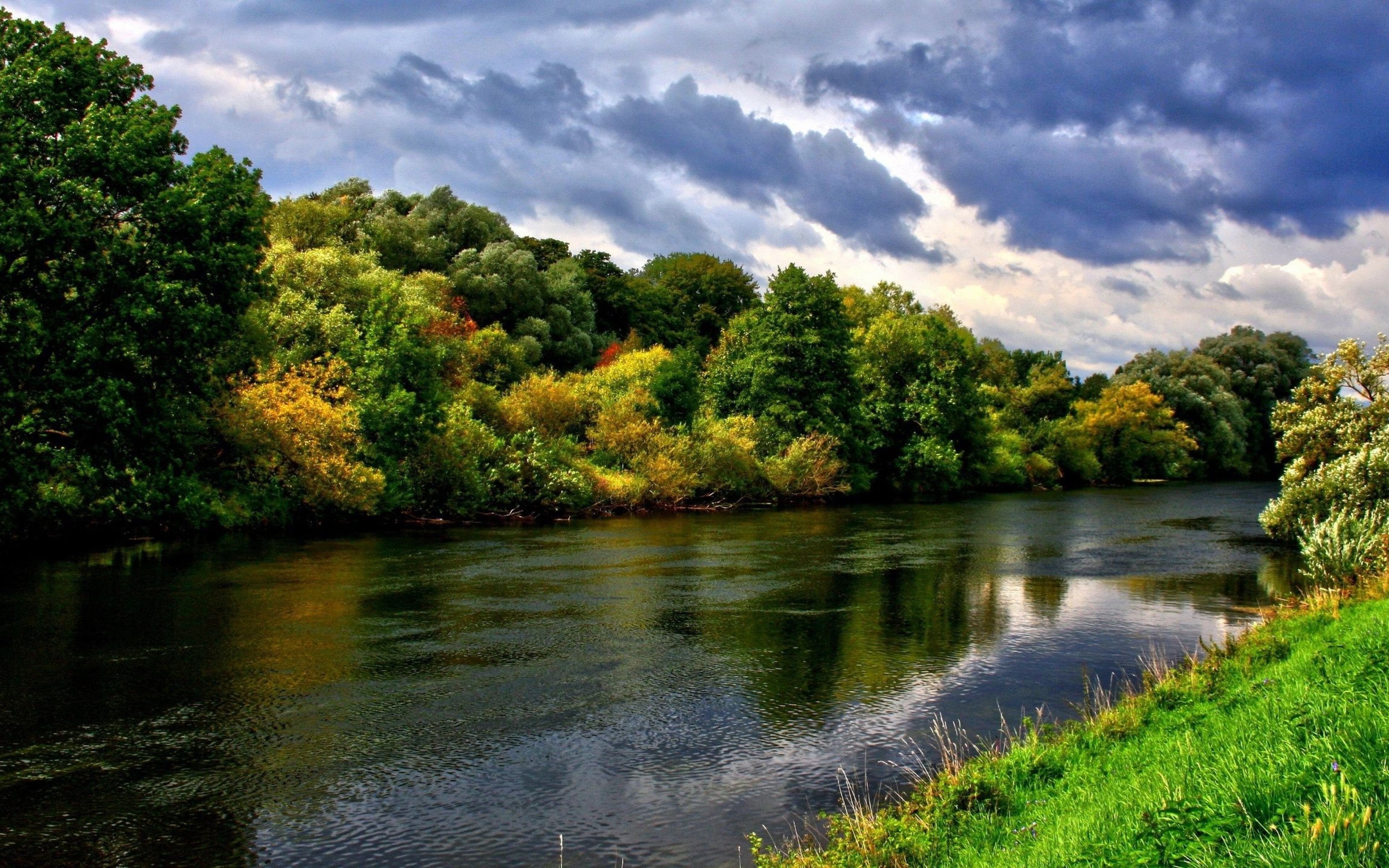 Красивые картинки реки. Река Проня. Природа река. Красивая река. Красивая речка.