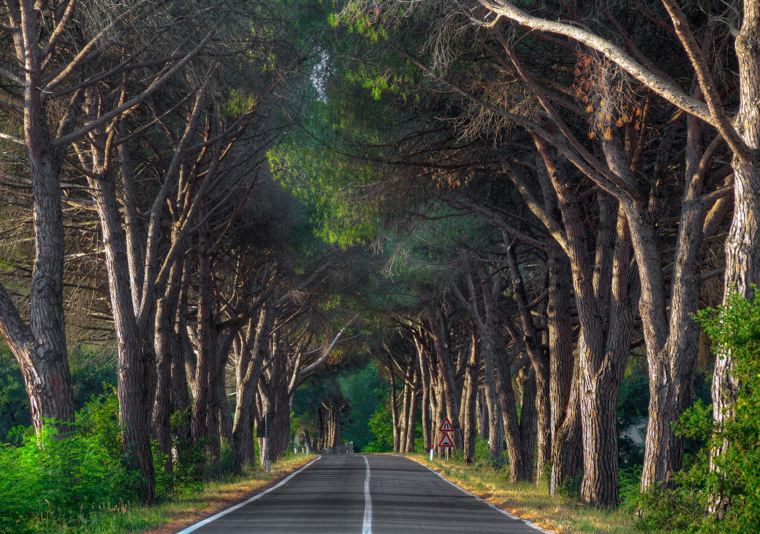 2560x1800 road, trees, signs 2560x1800 Resolution Wallpaper, HD Nature 4K  Wallpapers, Images, Photos and Background - Wallpapers Den