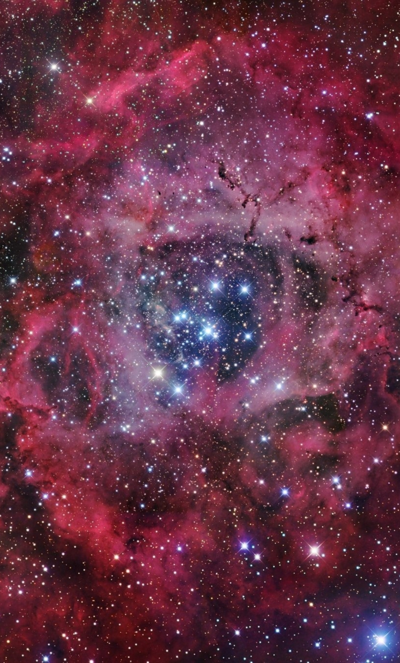 1280x2120 Resolution Rosette Nebula iPhone 6 plus Wallpaper ...