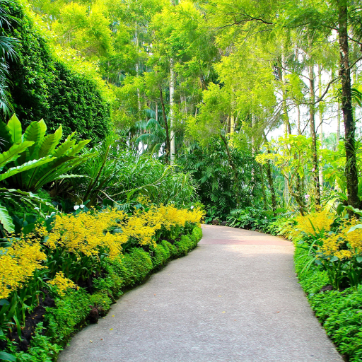 512x512 Resolution singapore, botanic gardens, walking paths 512x512 ...