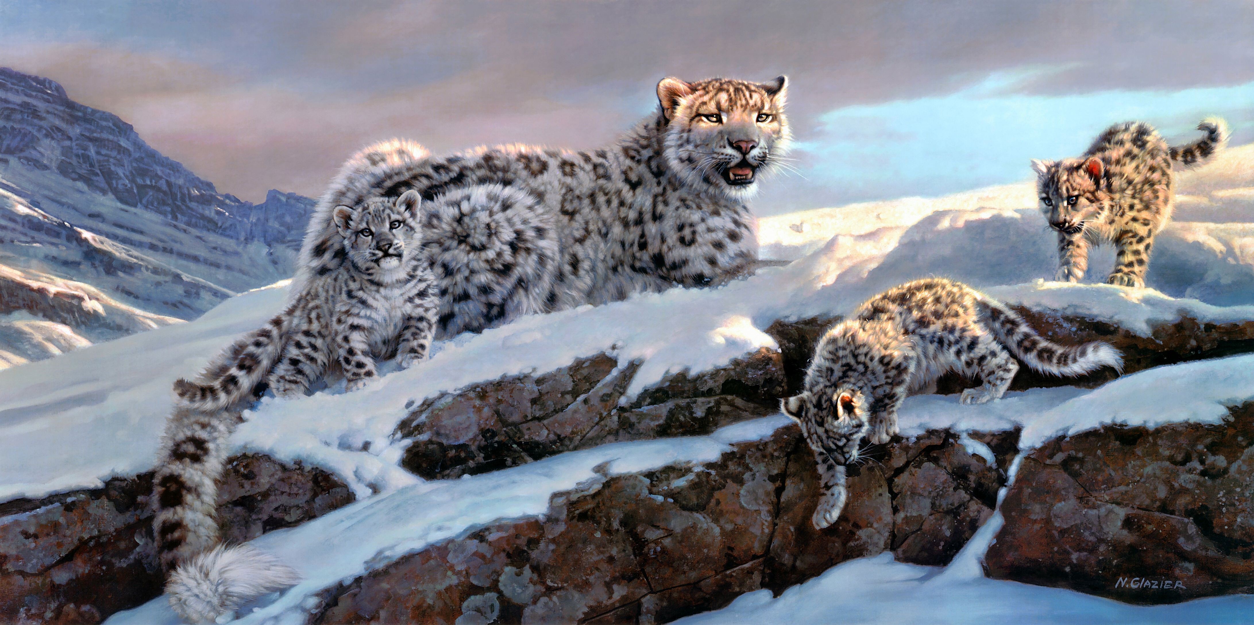 Snow Leopard HD Wallpapers | 4K Backgrounds - Wallpapers Den