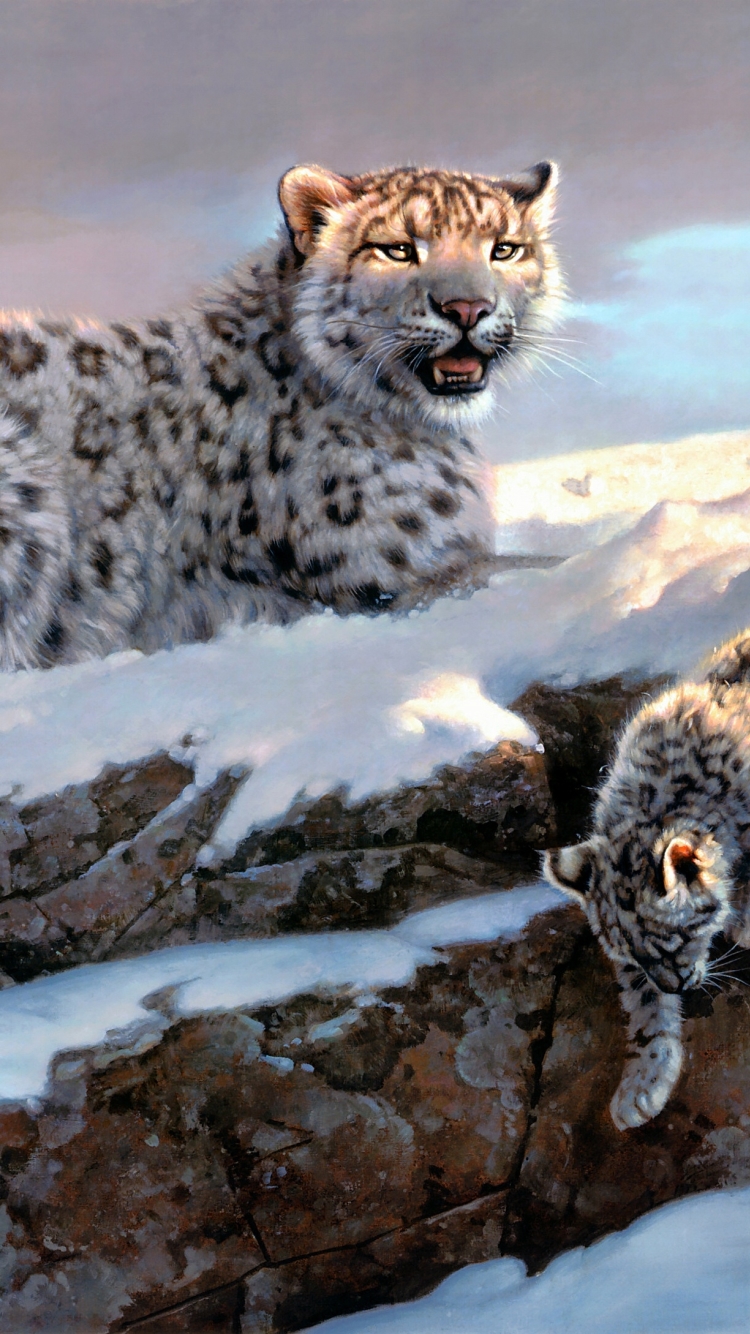 Snow Leopard Photos, Download The BEST Free Snow Leopard Stock Photos & HD  Images