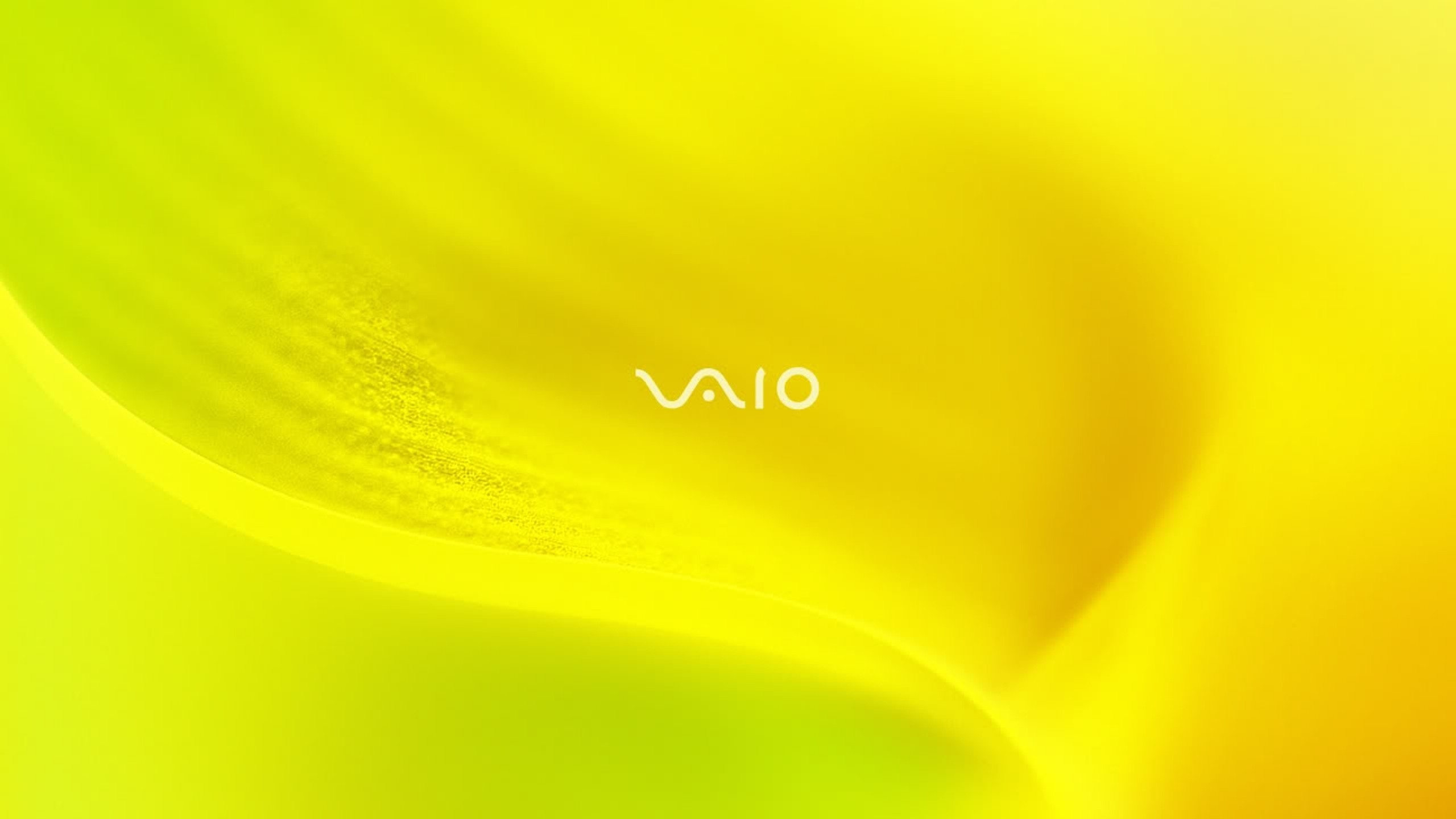 2560x1440 Sony Vaio Yellow System 1440p Resolution Wallpaper Hd Hi Tech 4k Wallpapers Images Photos And Background