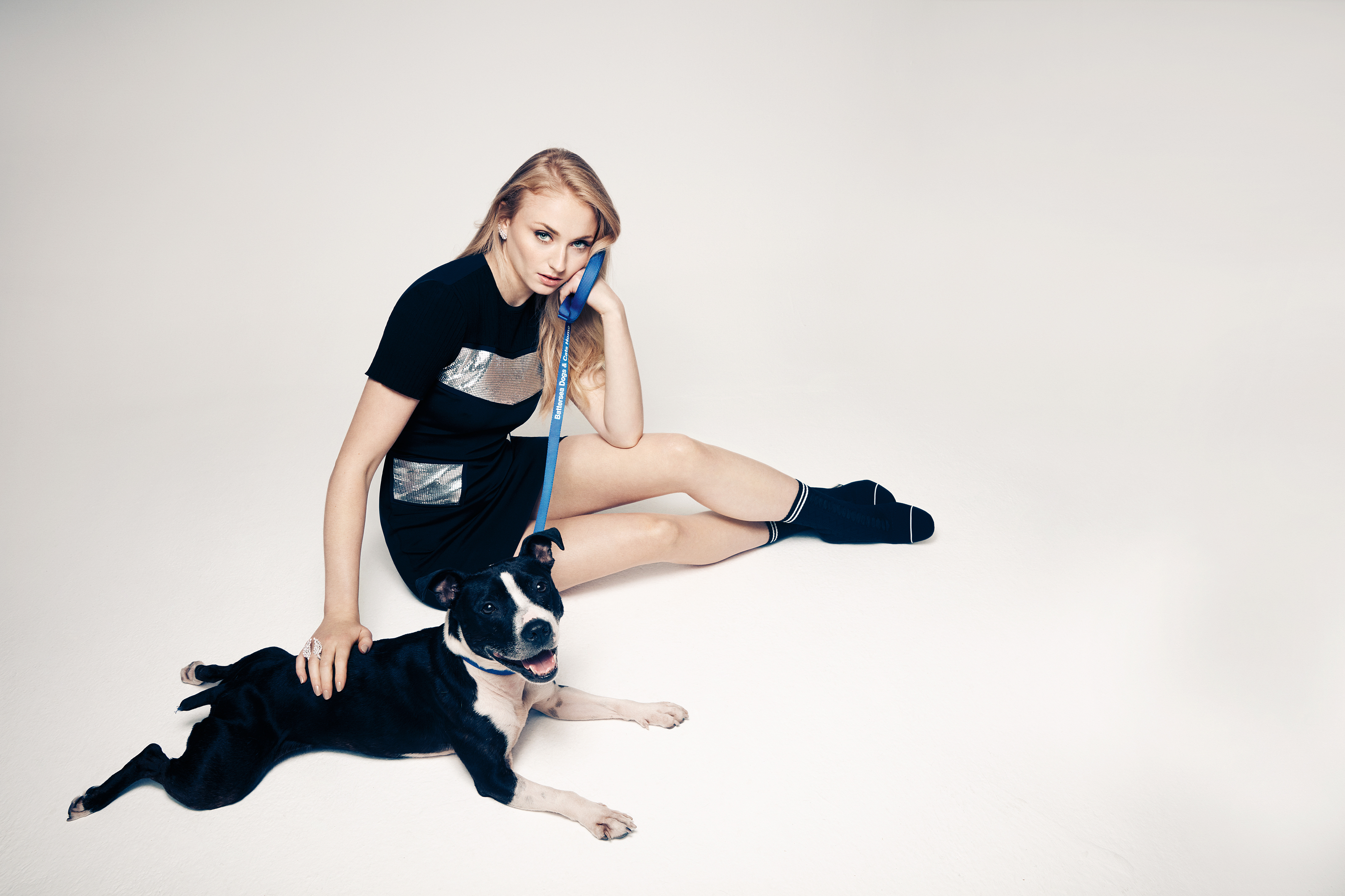 Sophie Turner In Black Dress With Dog, HD 8K Wallpaper