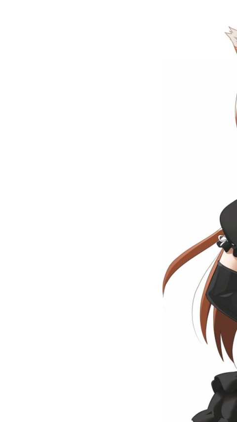 480x854 Spice And Wolf Girl Anime Android One Mobile Wallpaper