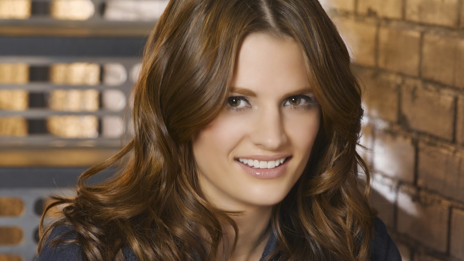 1500x9000 Stana Katic Castle Tv Series Wallpaper 1500x9000 Resolution — free download