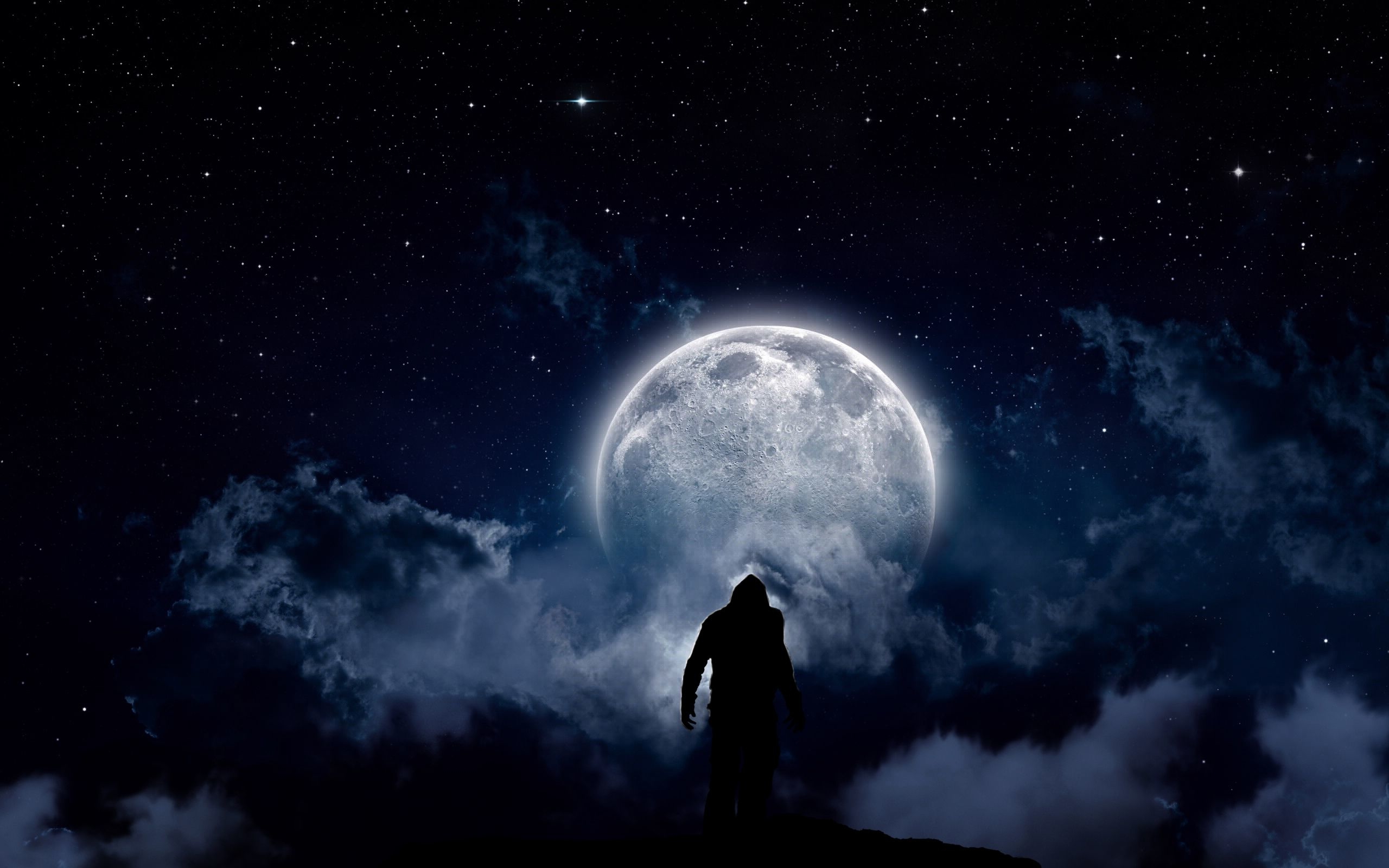 1680x1050 Resolution Staring At The Moon 1680x1050 Resolution Wallpaper ...