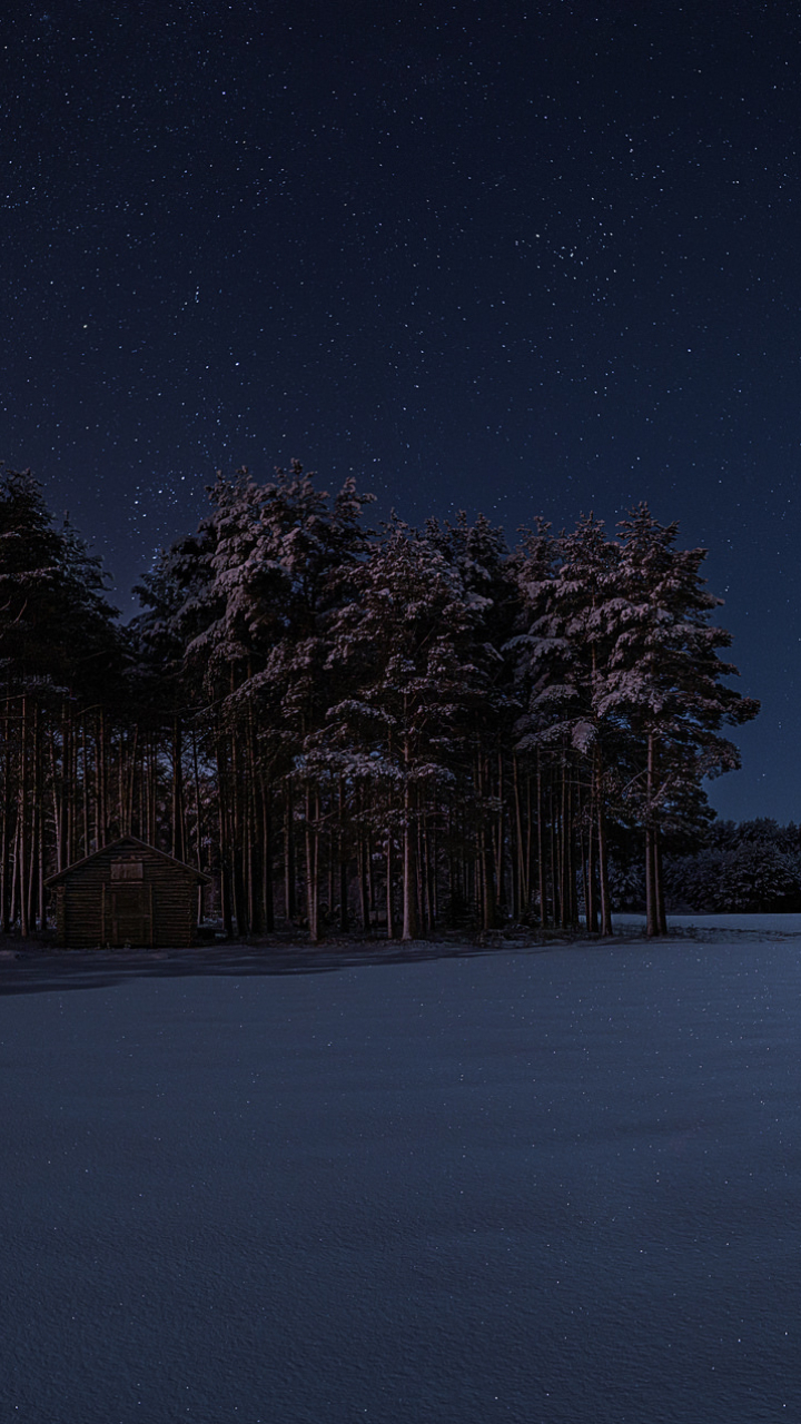 Starry Winter Night, Full HD 2K Wallpaper