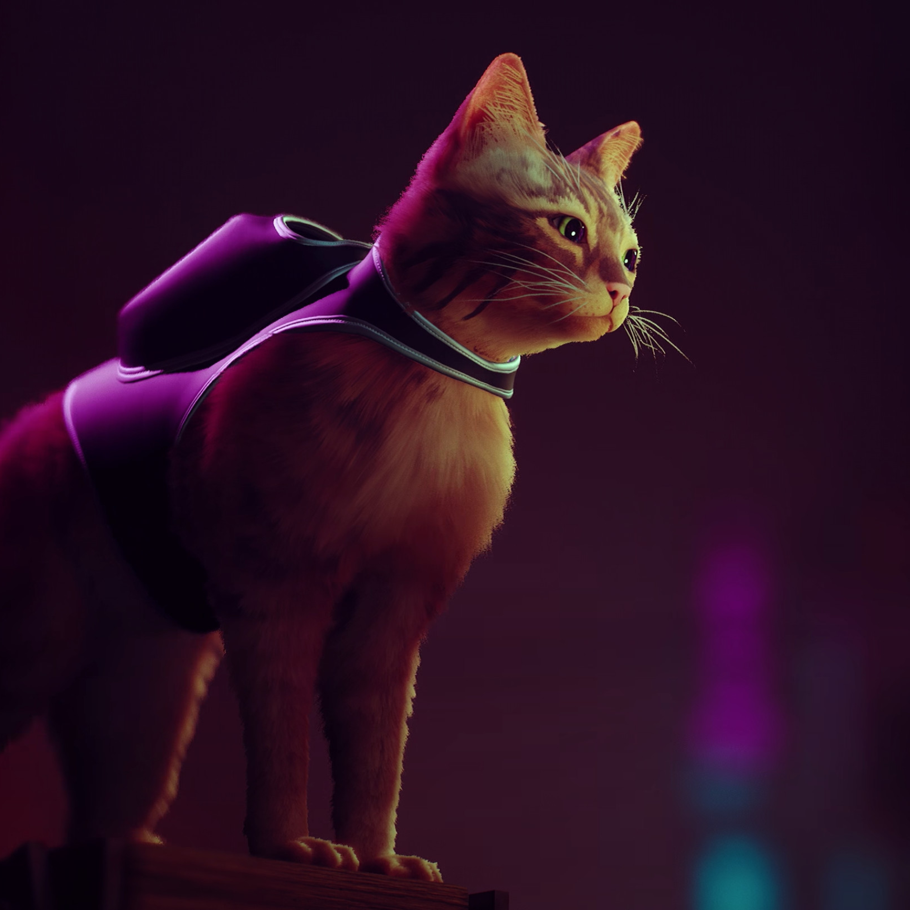 3000x3000 Stray Game Cat 3000x3000 Resolution Wallpaper Hd Games 4k Wallpapers Images Photos 6620