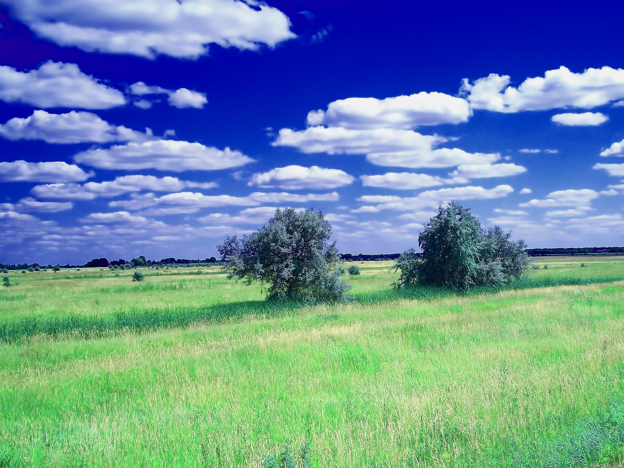 природа трава поле небо облака деревья nature grass field the sky clouds trees загрузить