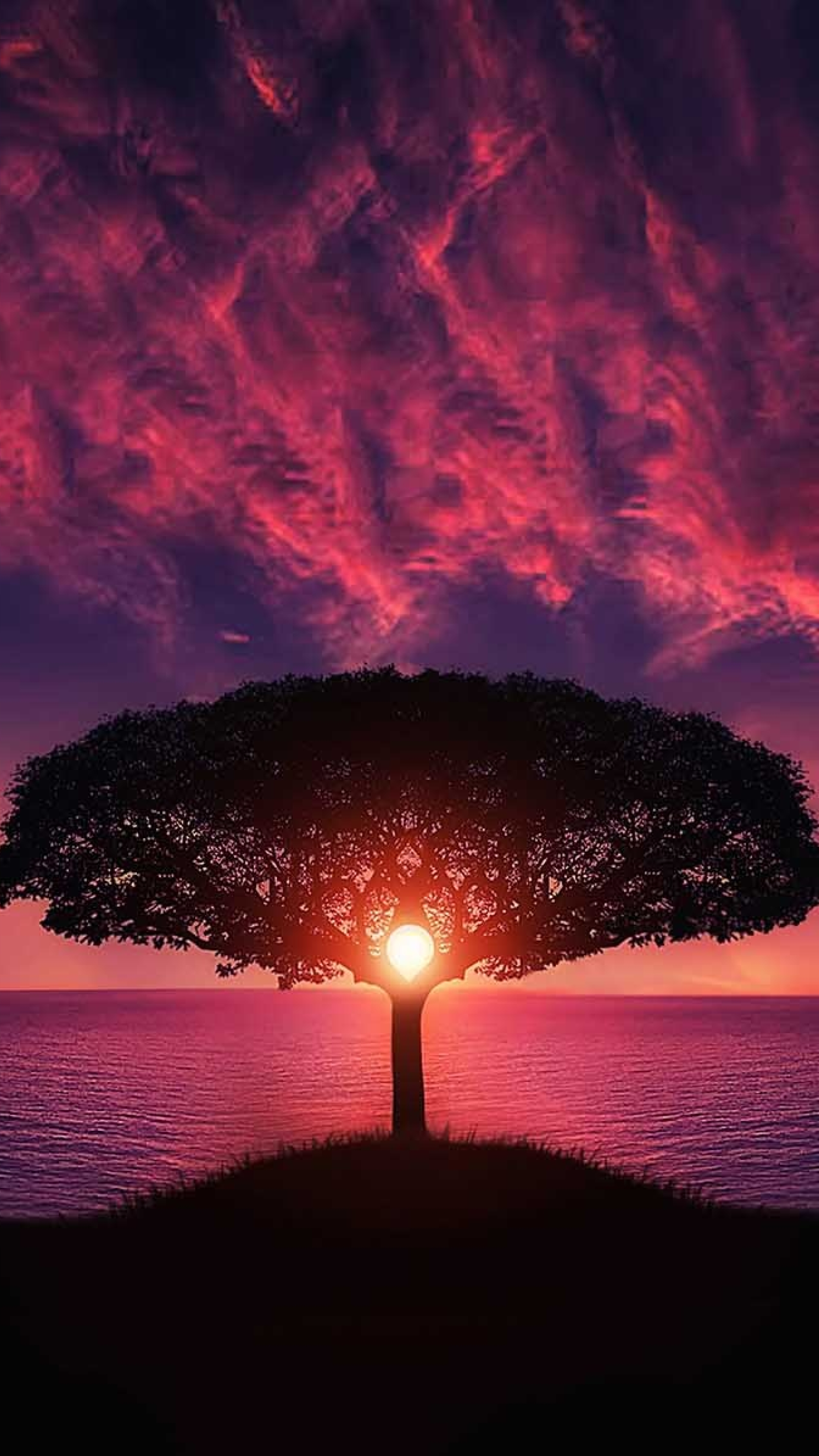 sunset-tree-red-ocean-and-sky_60175_2160x3840.jpg
