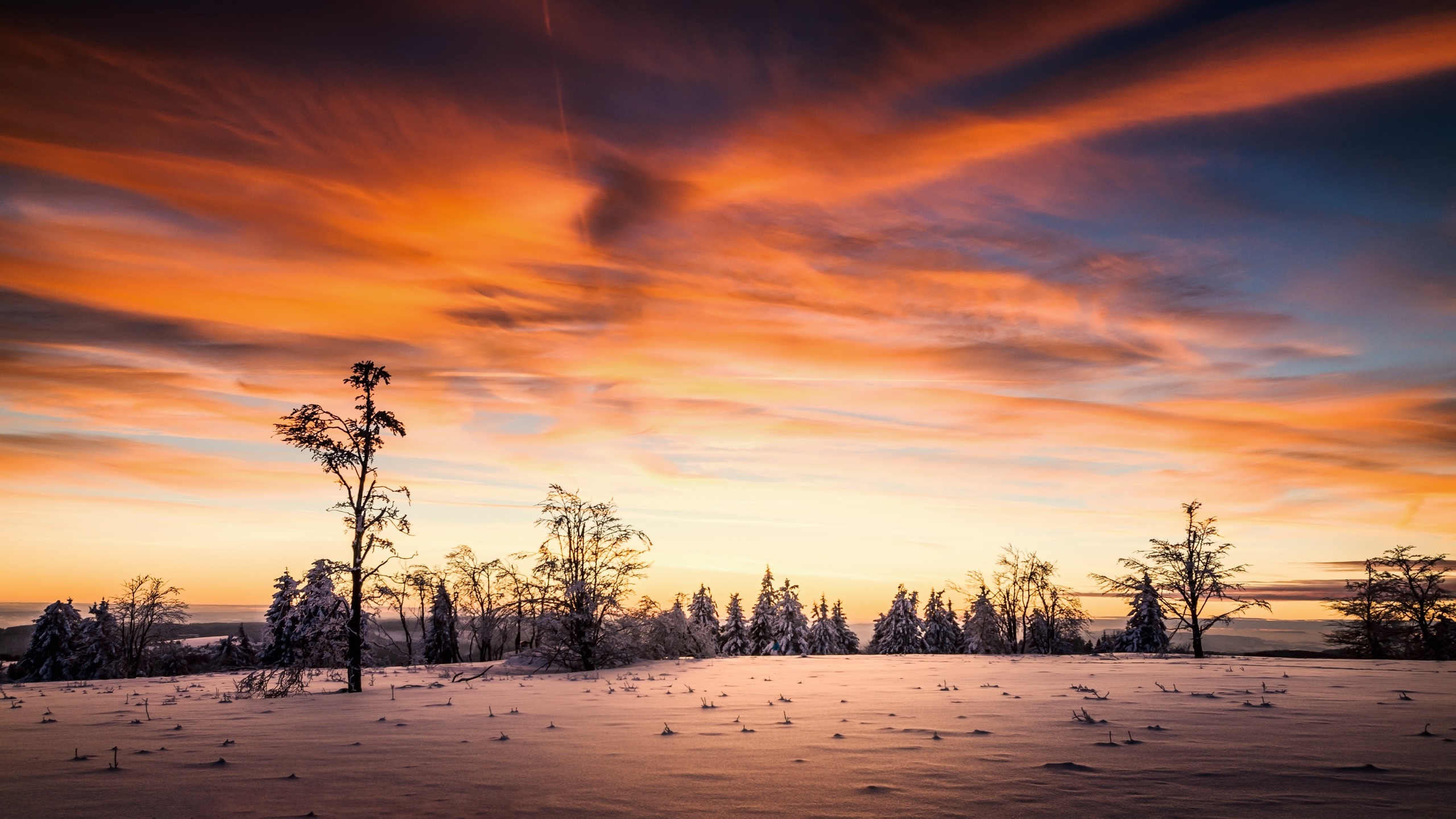 Sunset Winter at Empty Forest Wallpaper, HD Nature 4K Wallpapers ...