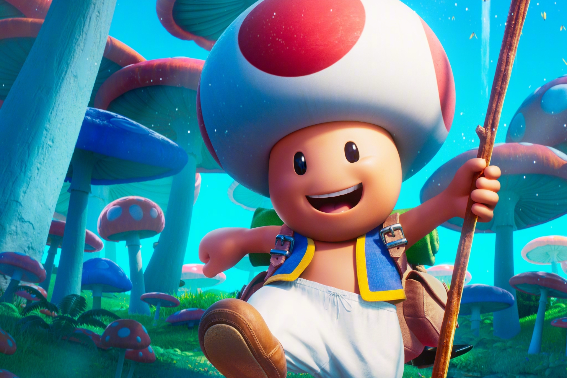 1920x1280 Resolution Super Mario Bros Toad 1920x1280 Resolution