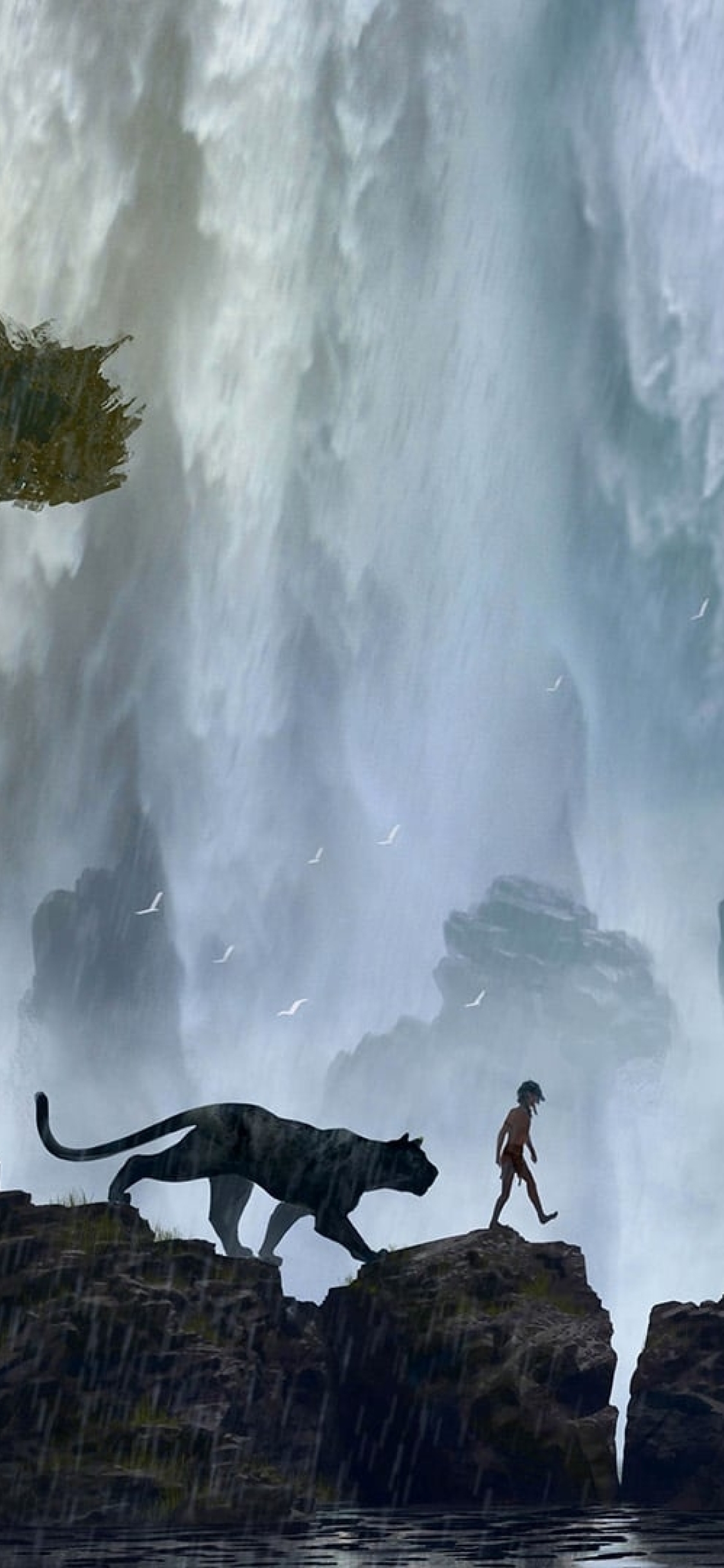 Jungle Book Wallpaper for iPhone 11