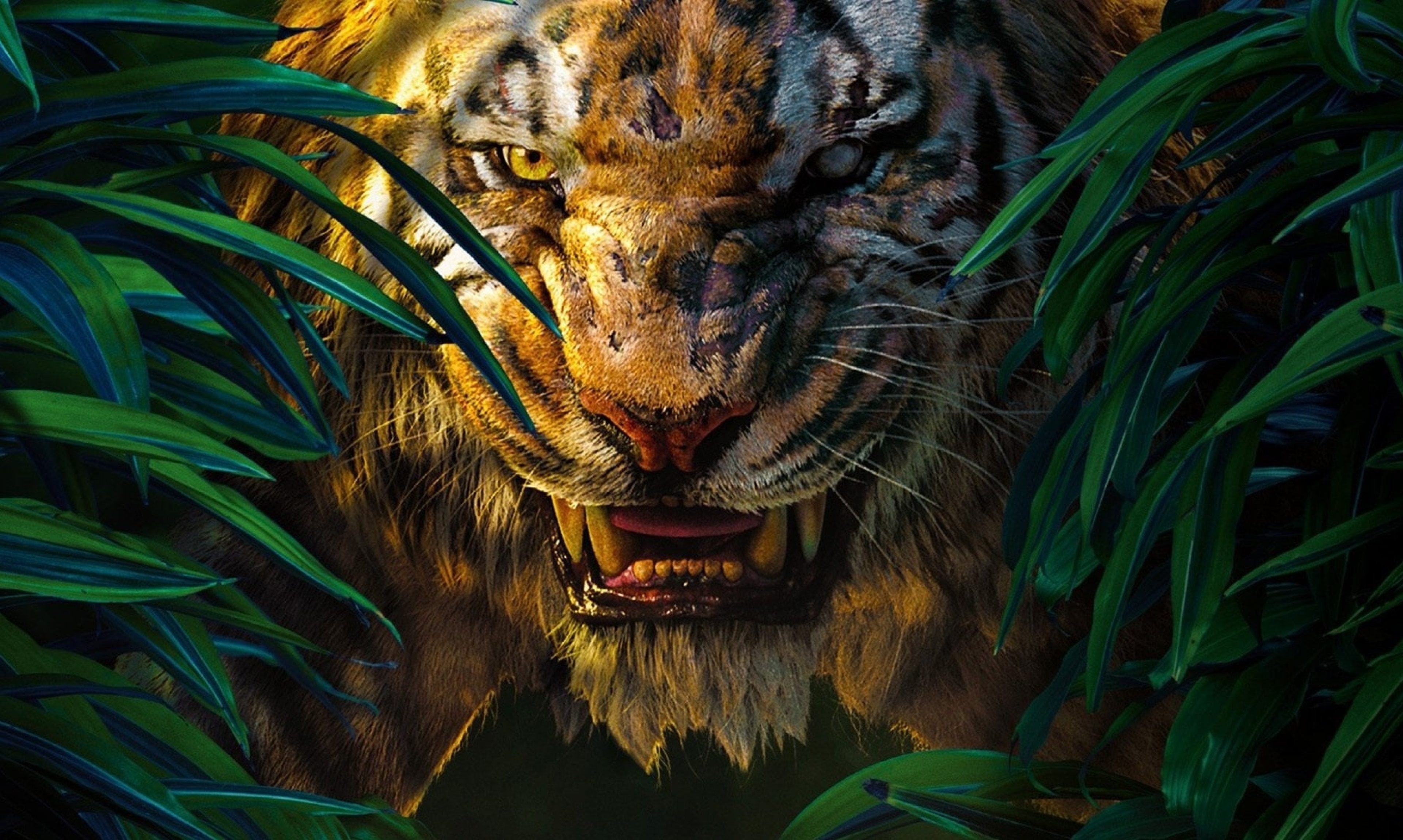 48 Jungle Book Wallpaper  WallpaperSafari