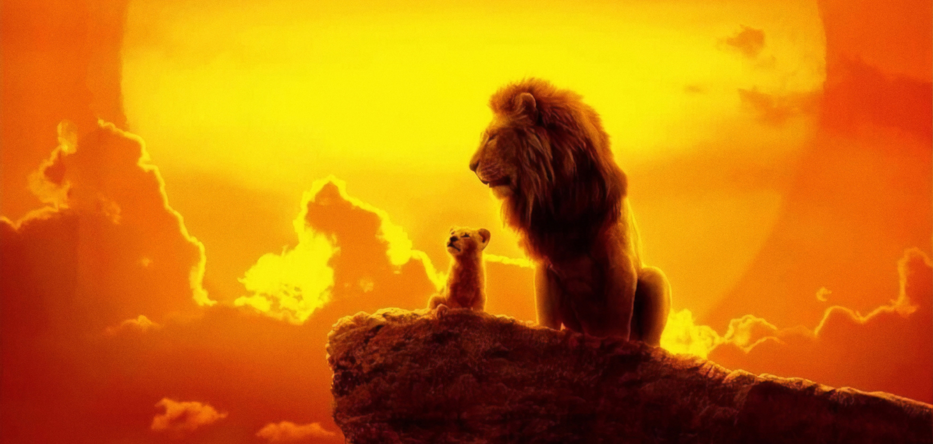 1890x900 The Lion King 2019 1890x900 Resolution Wallpaper, HD Movies 4K ...