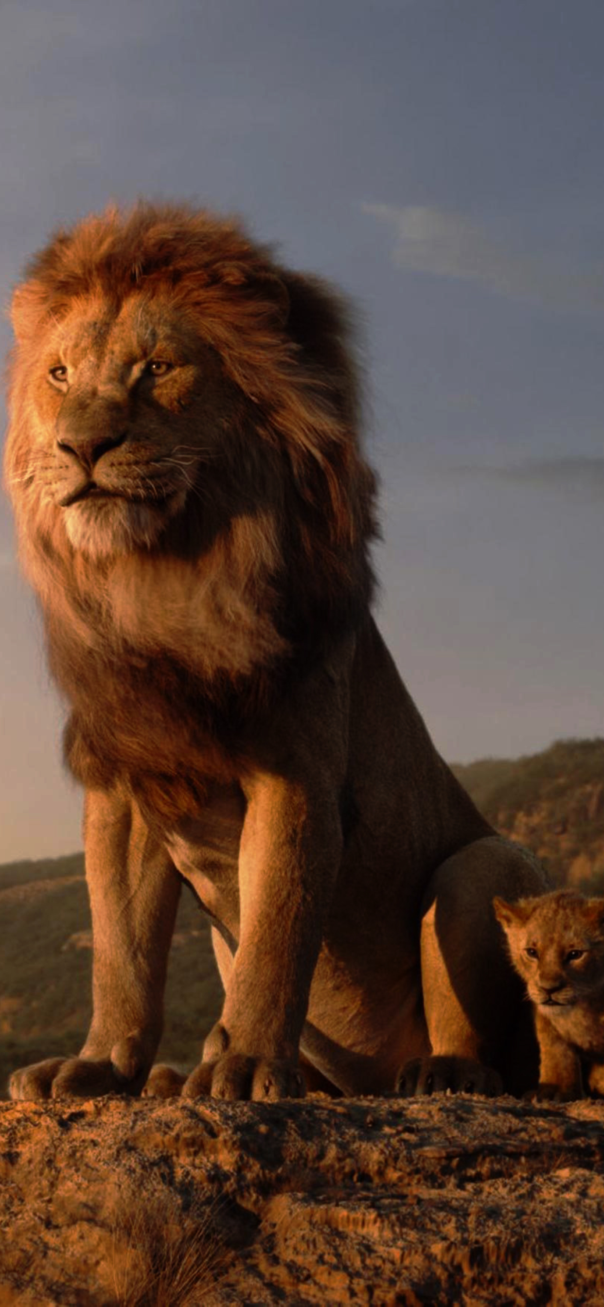 1242x2688 The Lion King Iphone XS MAX ...