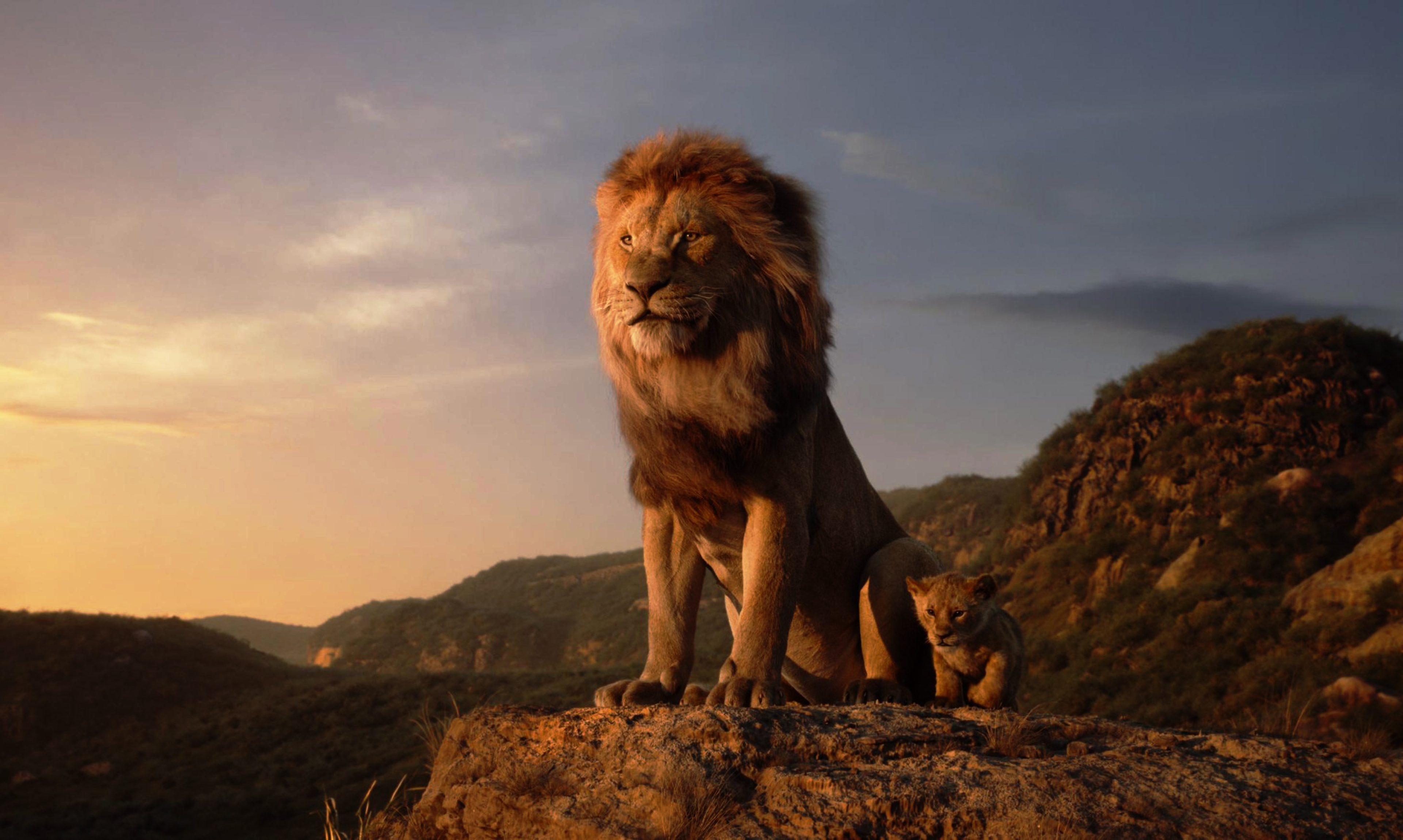 3840x2300 The Lion King 3840x2300 Resolution Wallpaper, HD Movies 4K  Wallpapers, Images, Photos and Background - Wallpapers Den