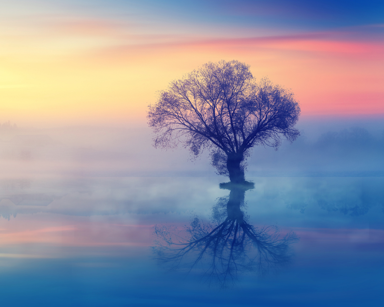 1280x1024 Resolution The Lonely Tree 1280x1024 Resolution Wallpaper ...