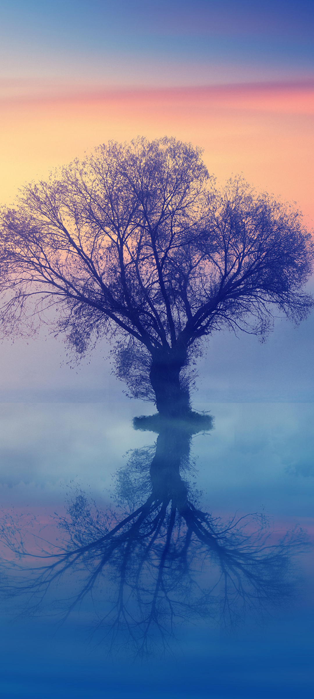 1080x2400 The Lonely Tree 1080x2400 Resolution Wallpaper, HD Nature 4K  Wallpapers, Images, Photos and Background - Wallpapers Den