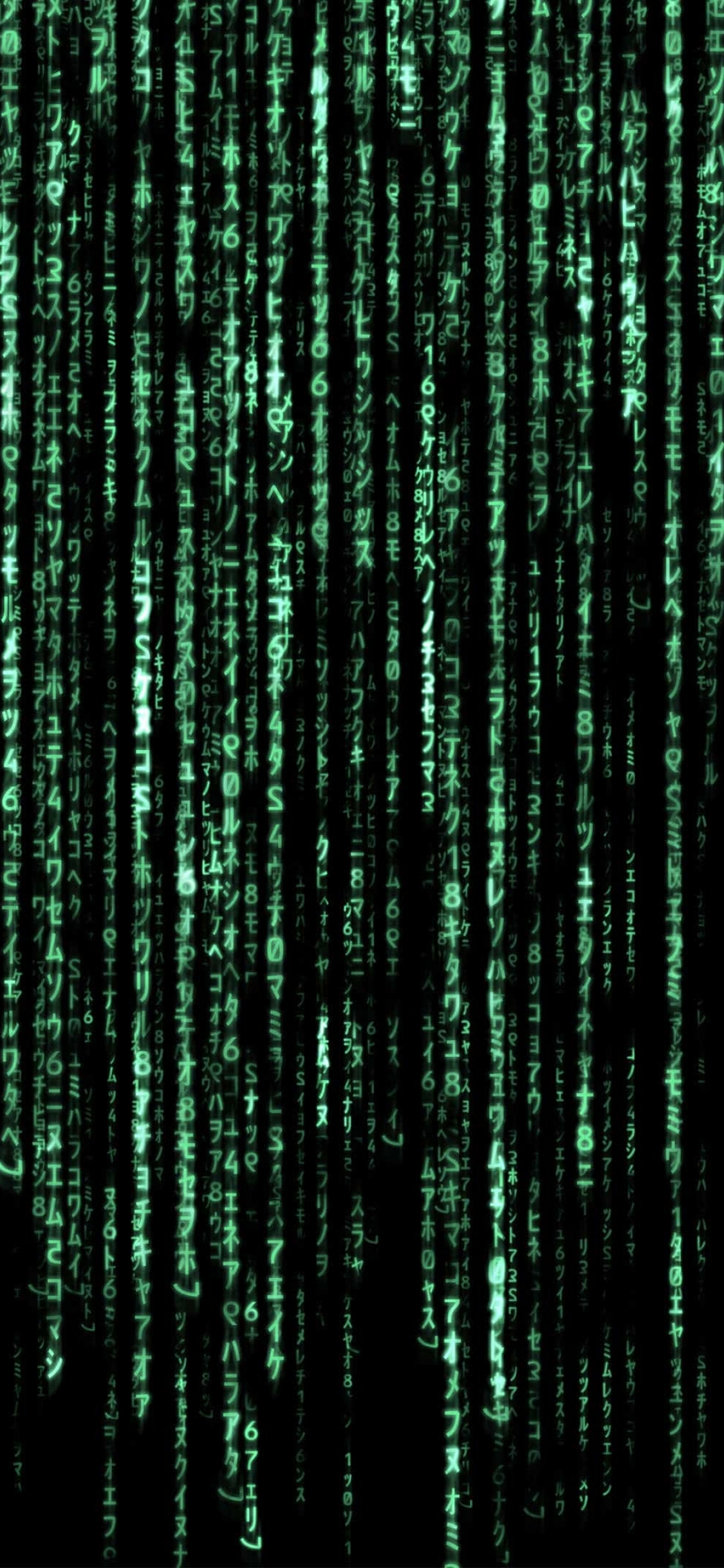 1125x2436 The Matrix 4K Iphone XS,Iphone 10,Iphone X Wallpaper, HD