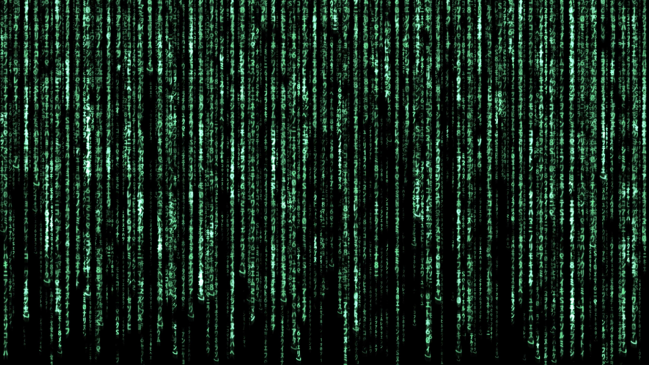 2560x1440 The Matrix 4K 1440P Resolution Wallpaper, HD Movies 4K Wallpapers, Images